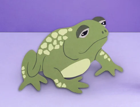 ECD_BBMARCHFrogSolo.jpg