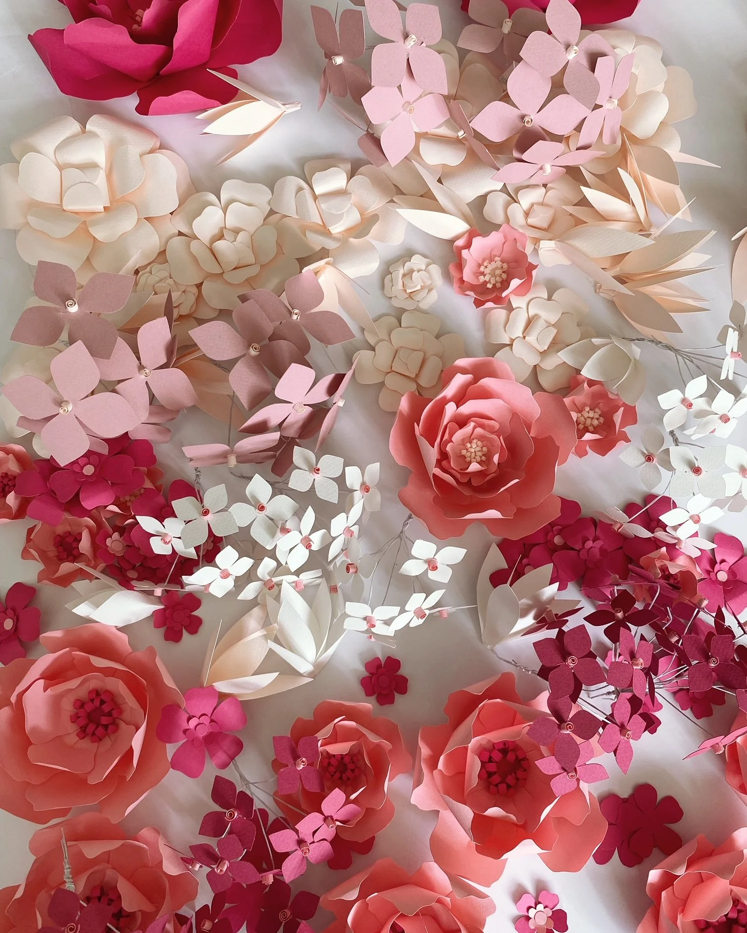 14B1FFCE-98B3-4768-A5DA-40EE75C47DB4.JPG