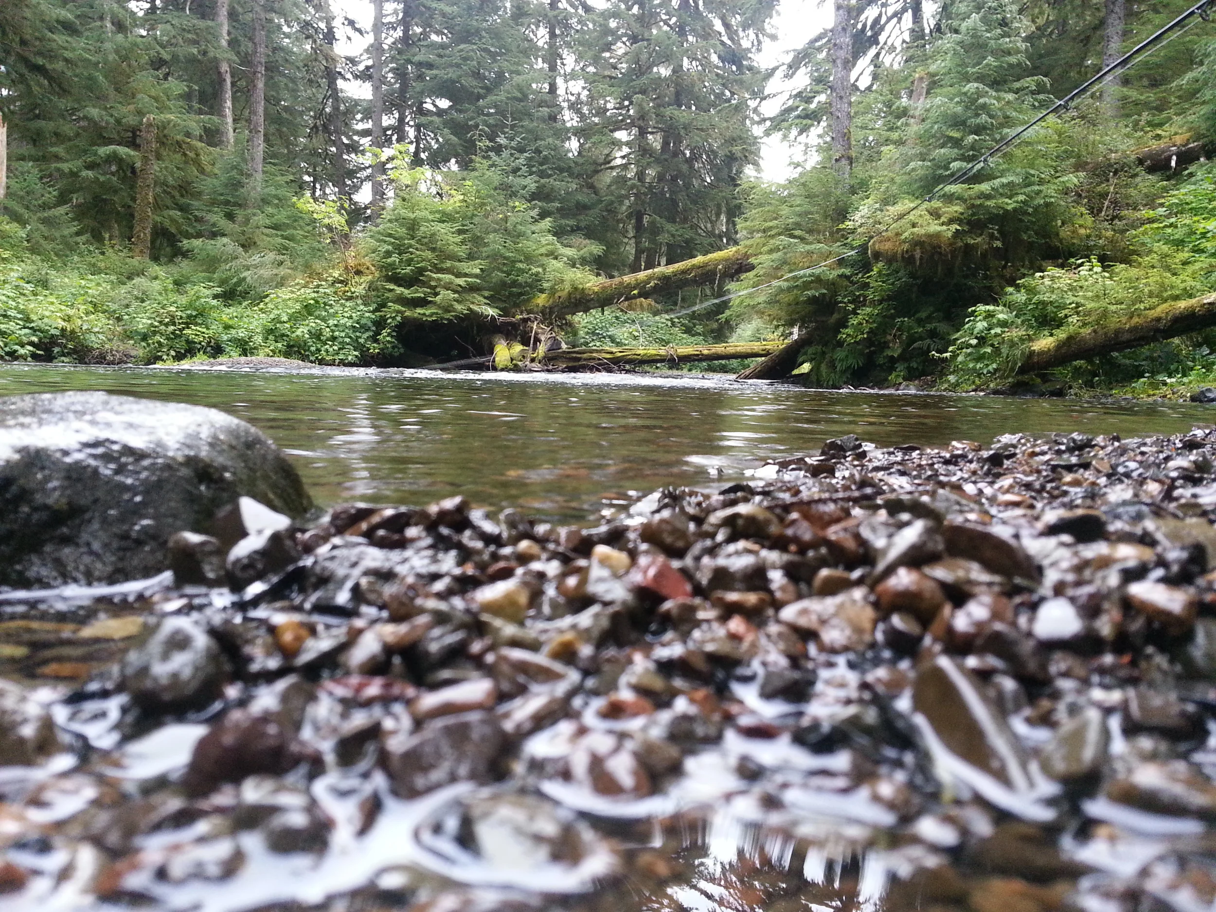20150817_184034.jpg