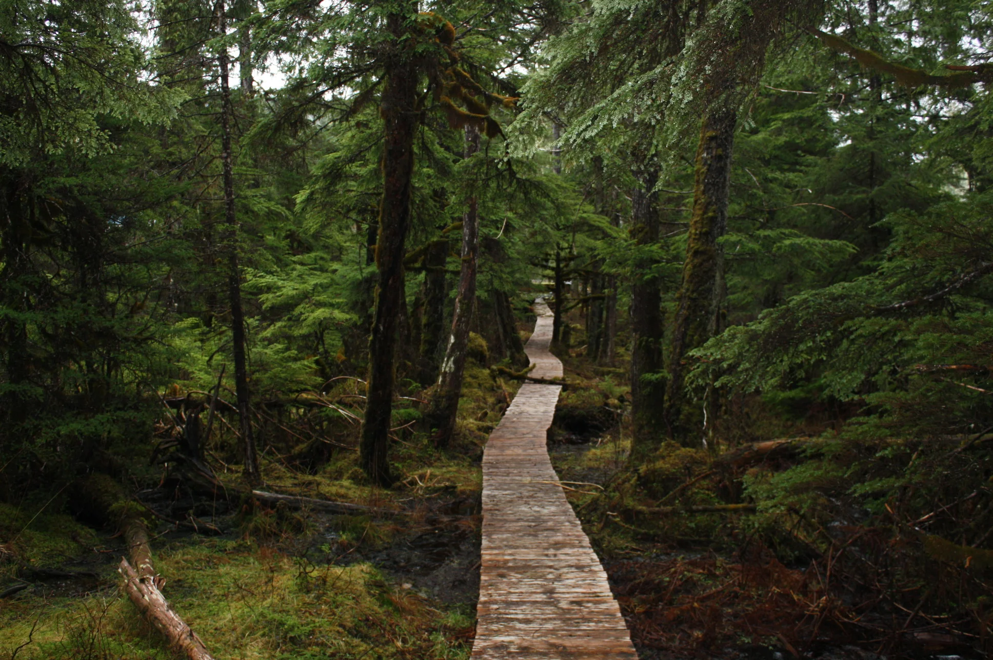  Whale Pass, Alaska   Adventure Begins Here    Explore  