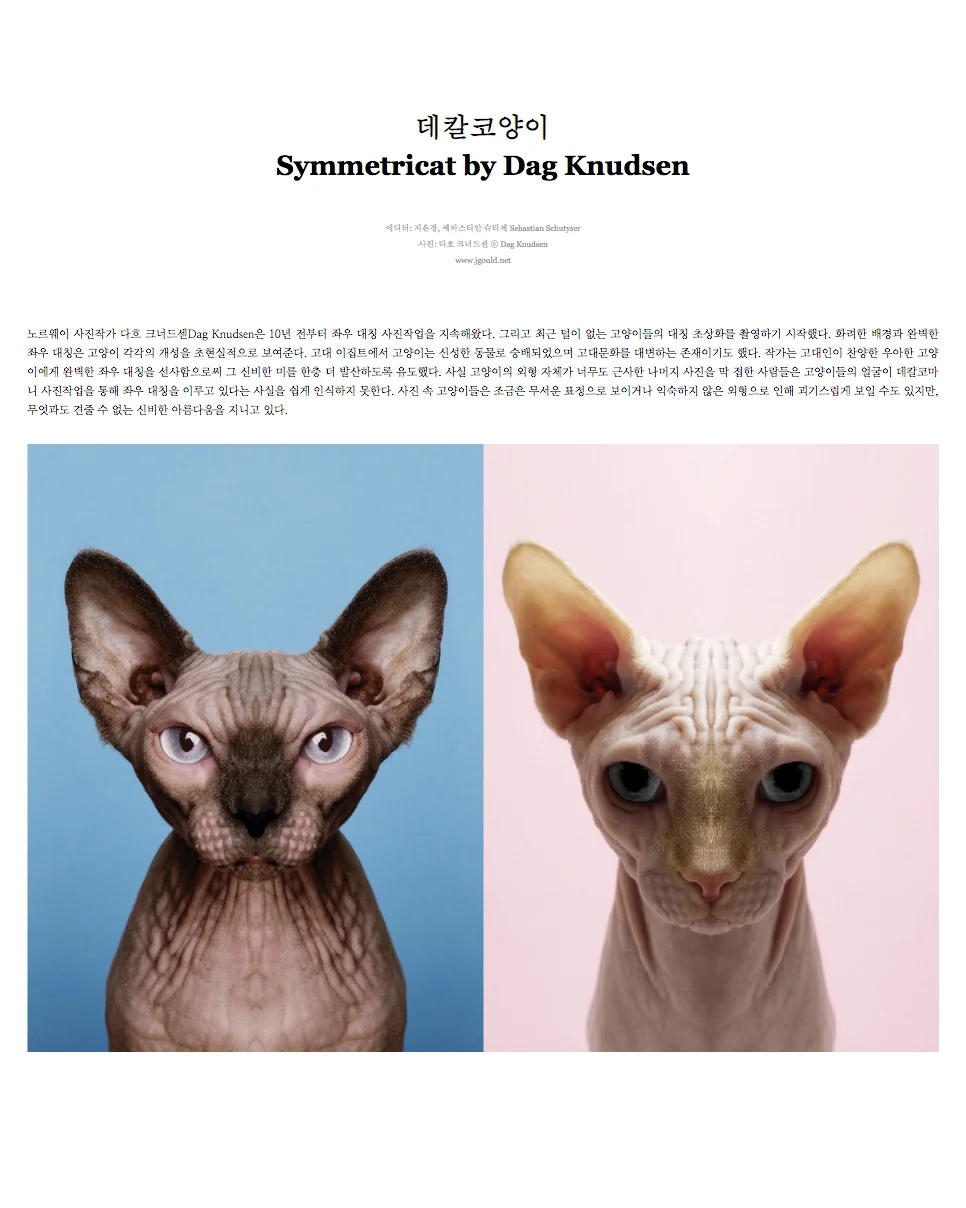 Chaeg_Magazine.jpg