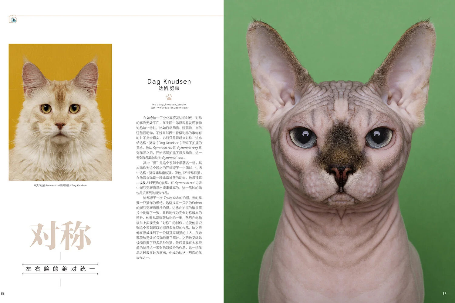 China_web_02.jpg