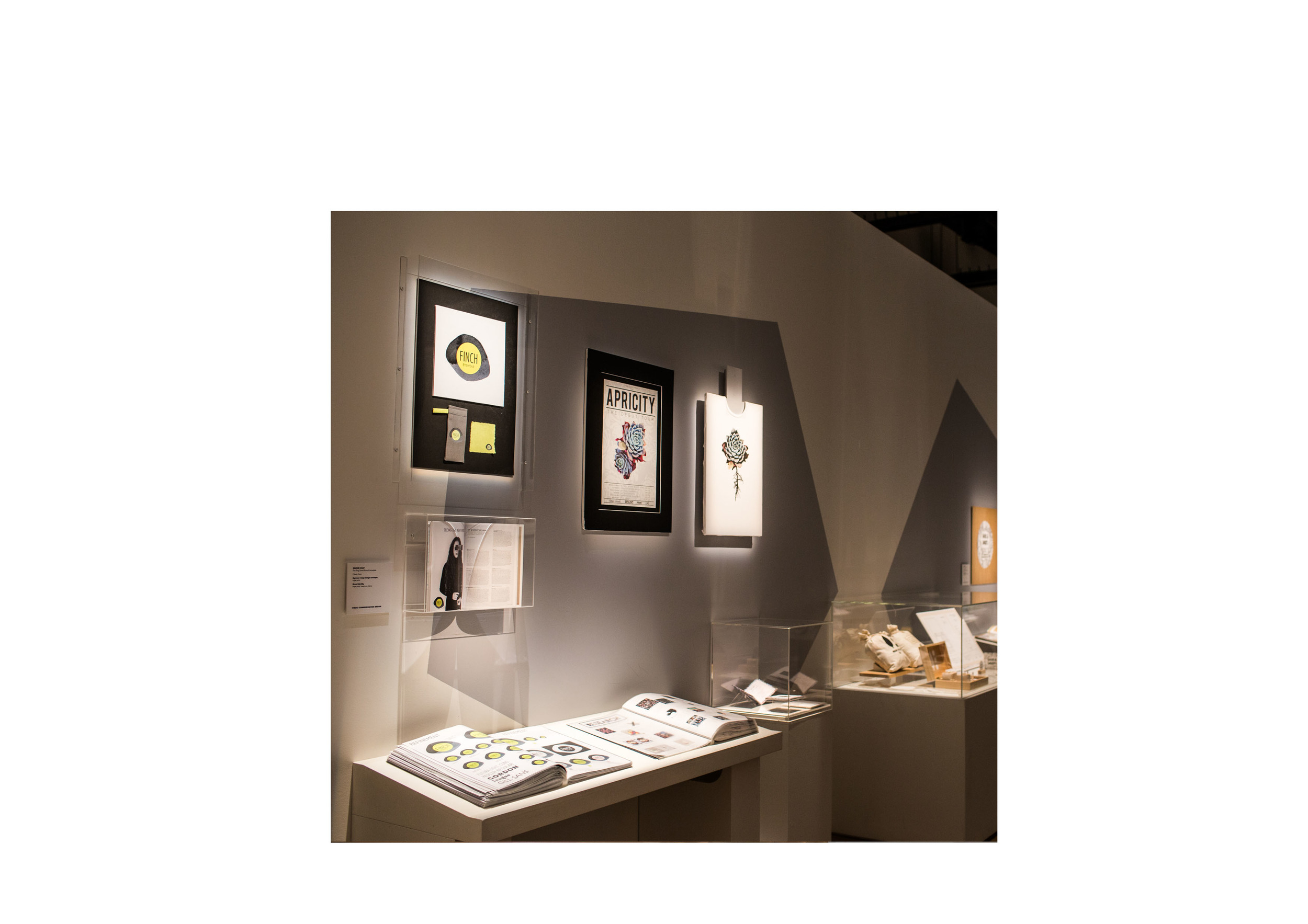 TopDesign_7926.jpg