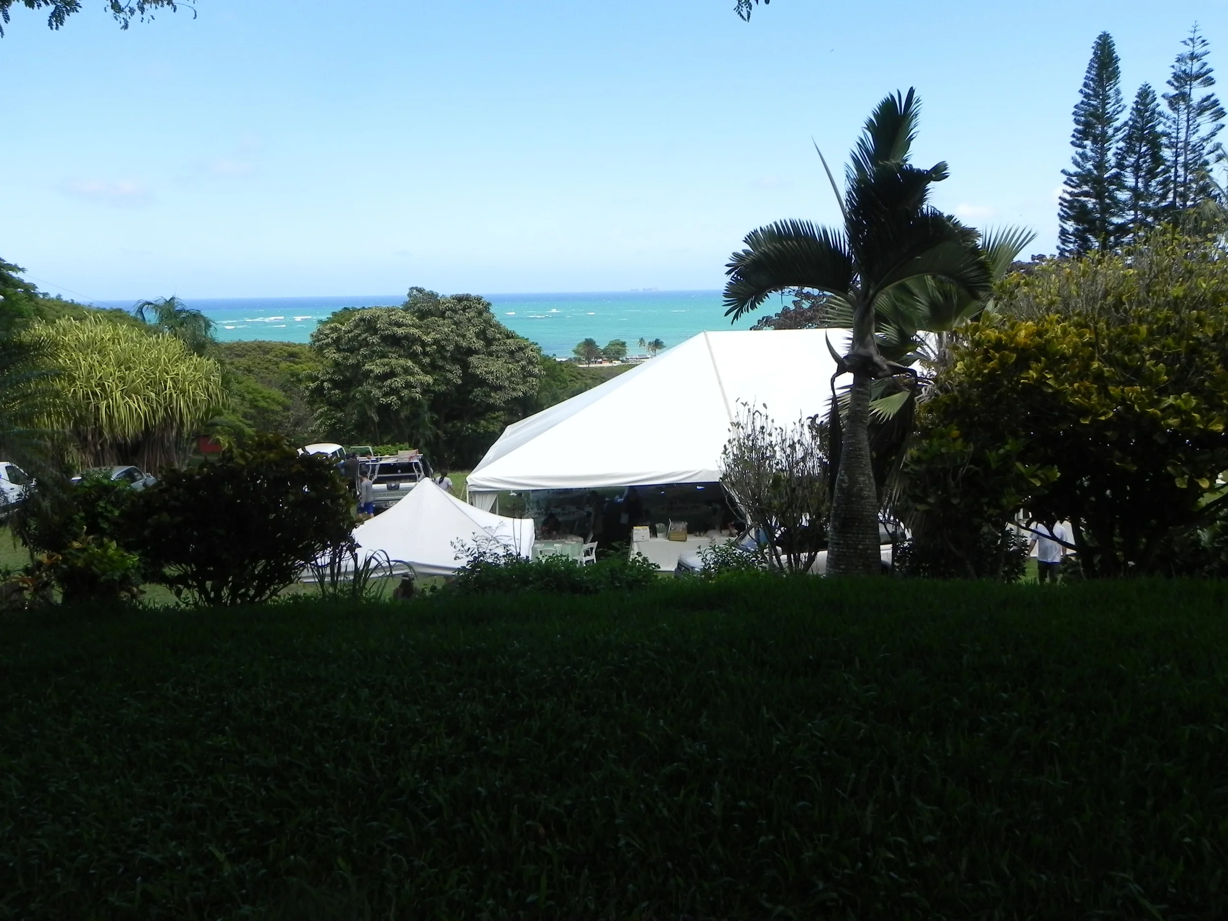 DSCN2554.JPG