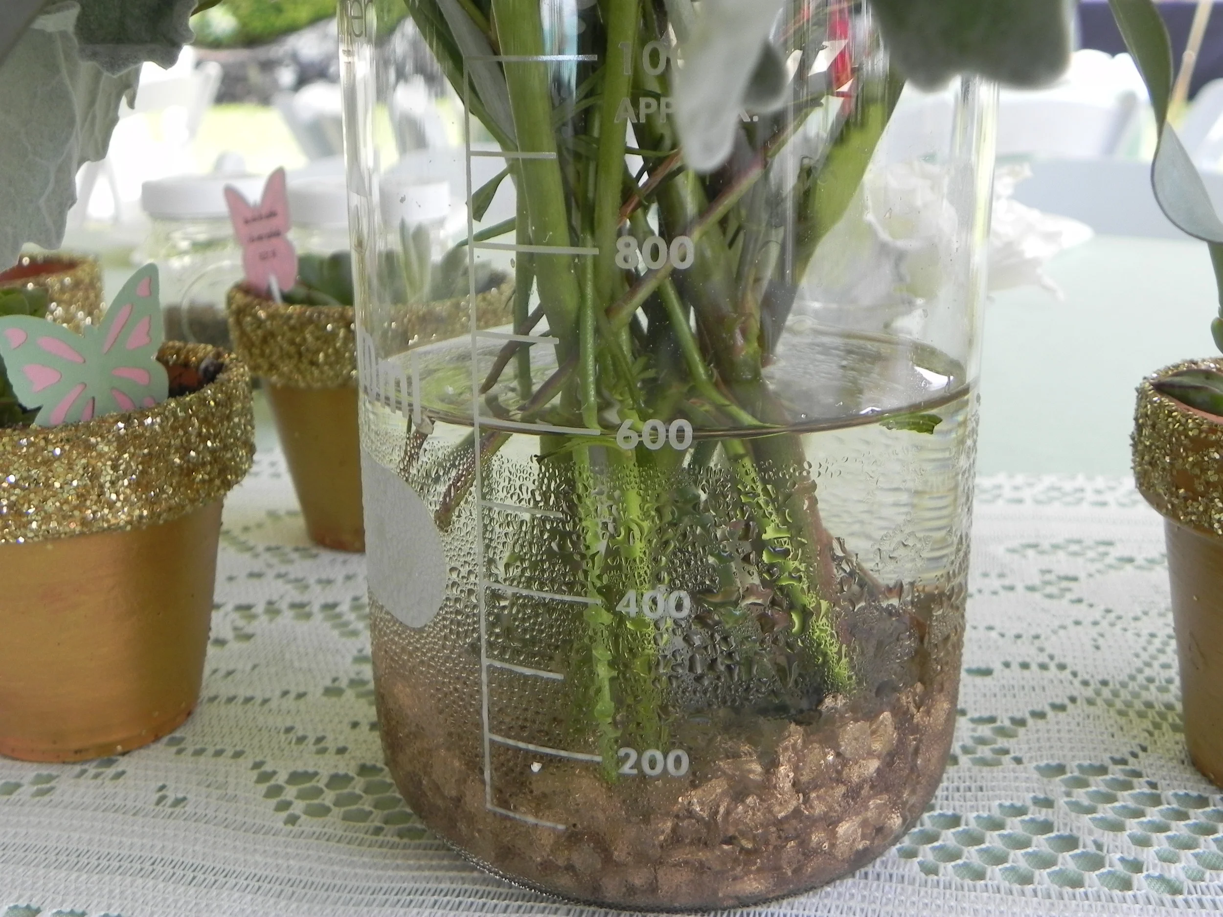 DSCN2583.JPG