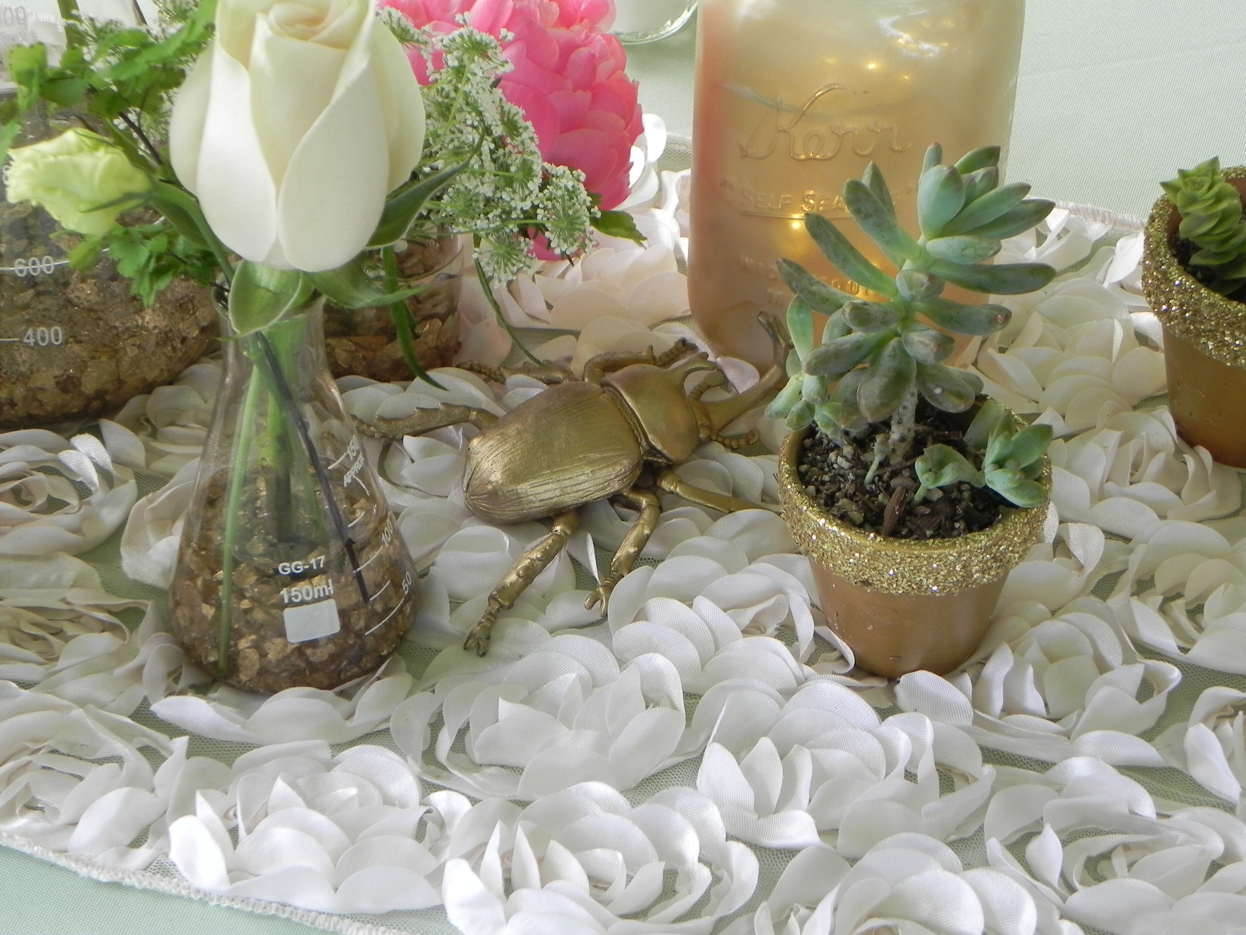 DSCN2596.JPG