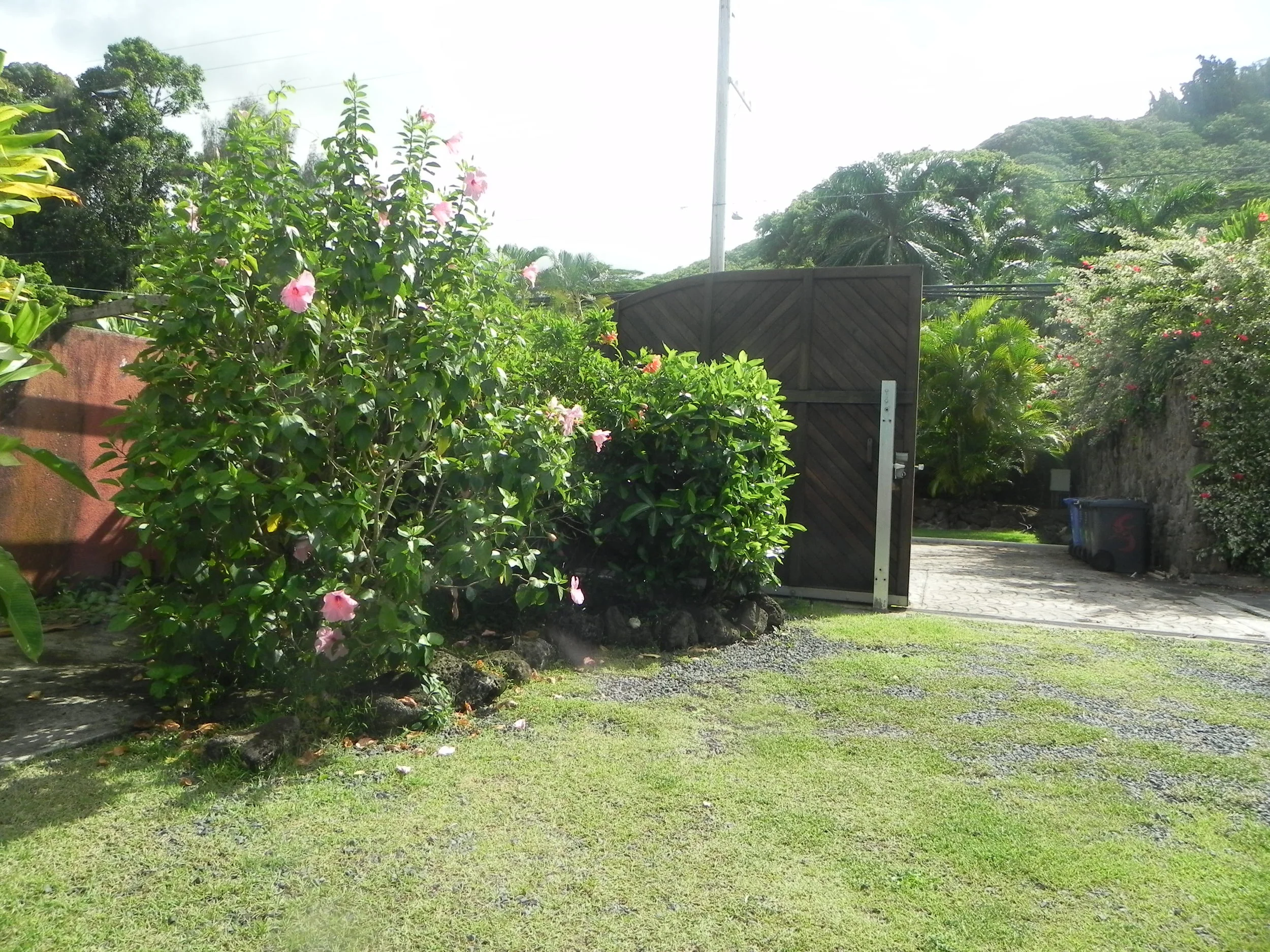 DSCN2711.JPG