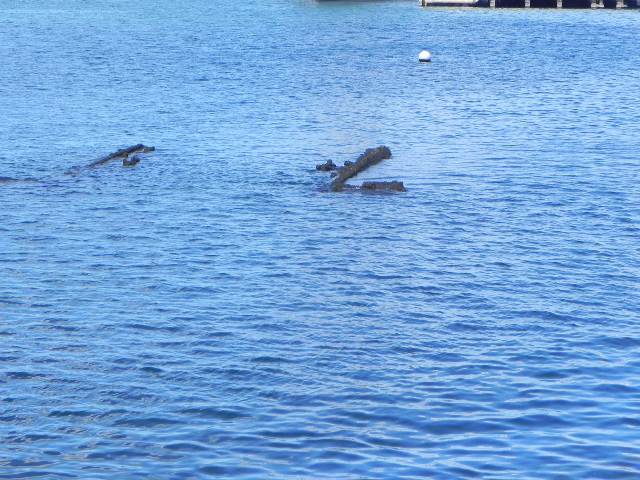 DSCN2792.JPG