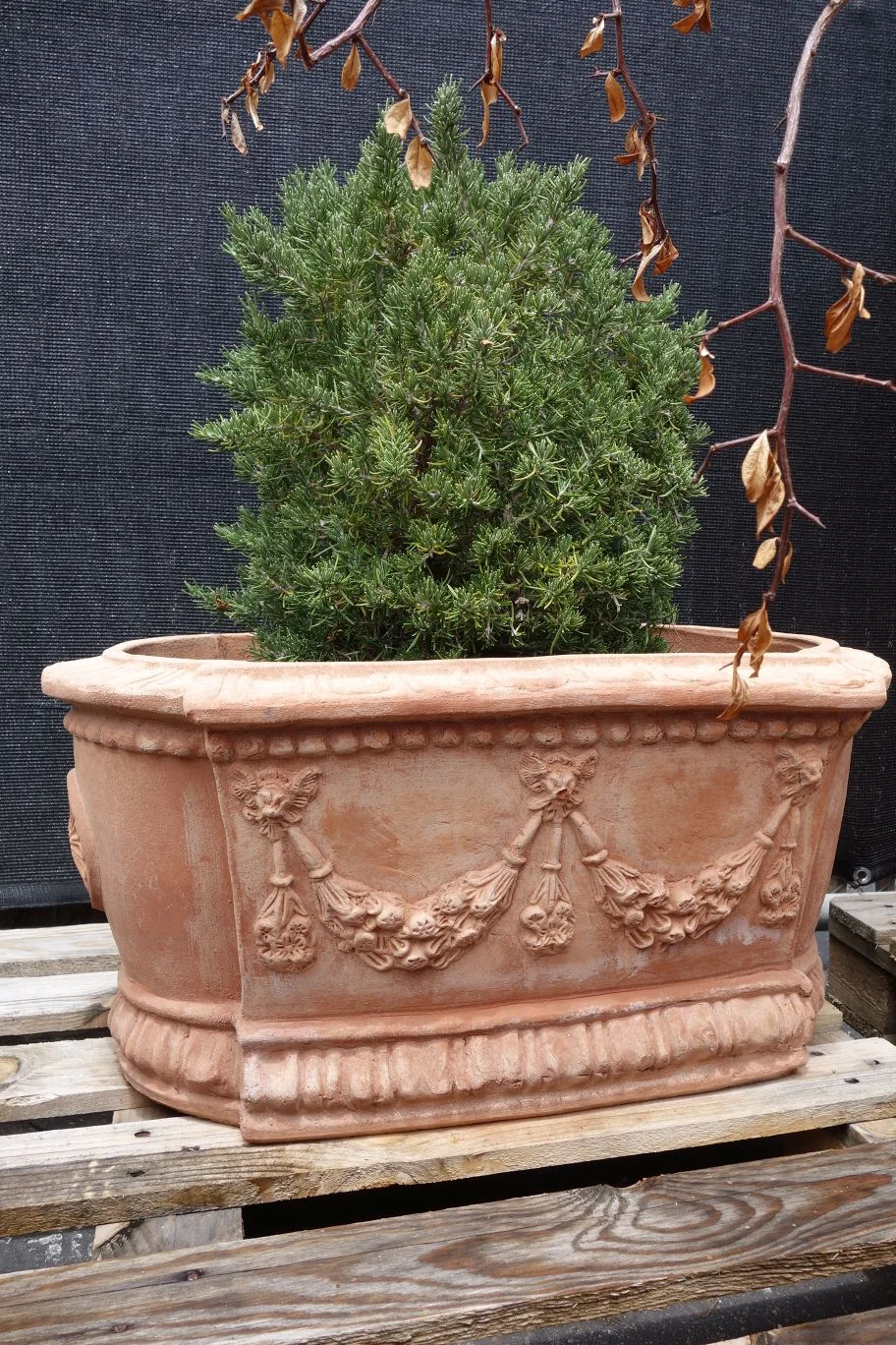 Italian Tuscan Terracotta rectangular oval box planter with festoons