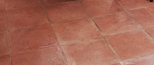 WhatsApp Image 2019-09-01 at 5.44.44 AM(1).jpeg