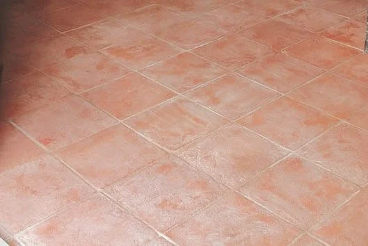 WhatsApp Image 2019-09-01 at 5.45.03 AM.jpeg