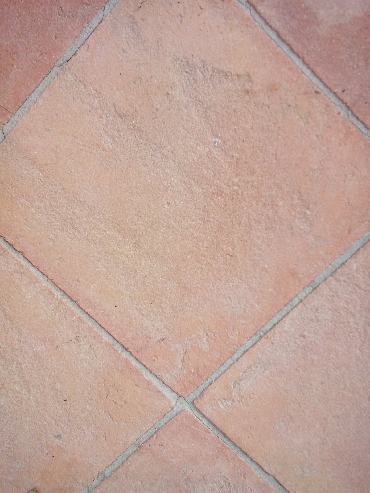 WhatsApp Image 2019-09-01 at 5.45.04 AM.jpeg