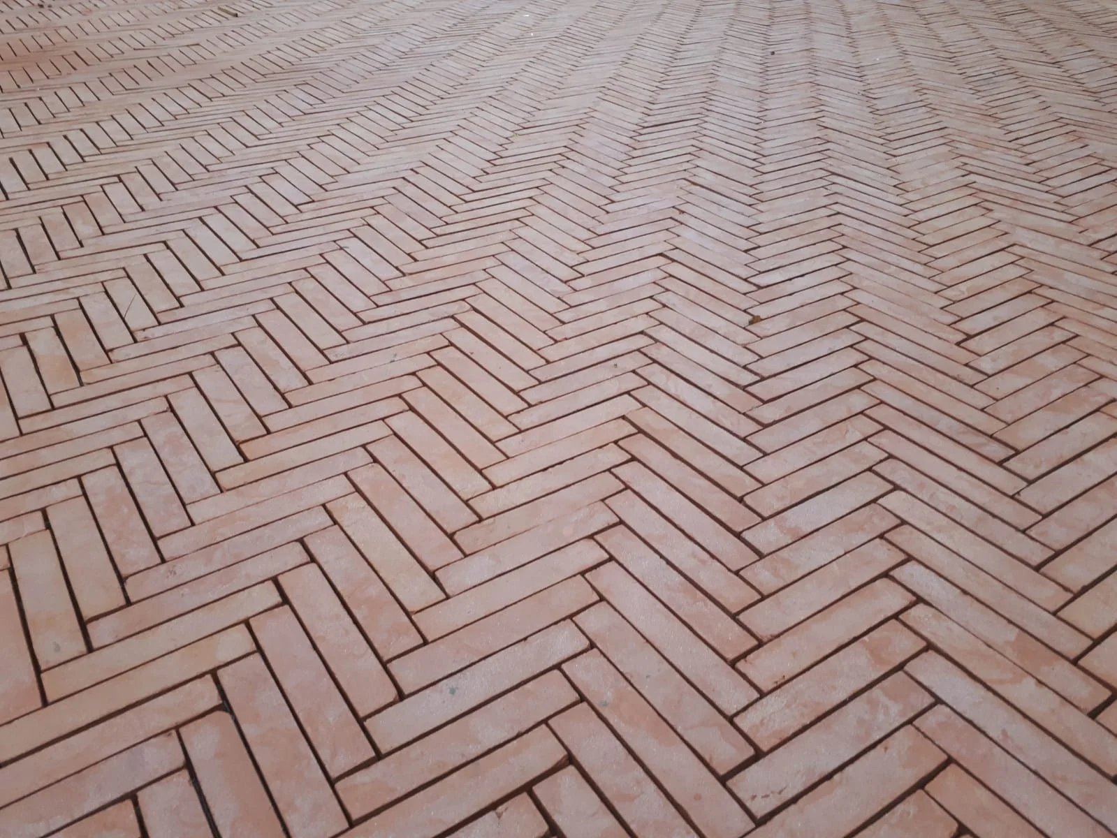 WhatsApp Image 2019-09-01 at 5.42.31 AM.jpeg