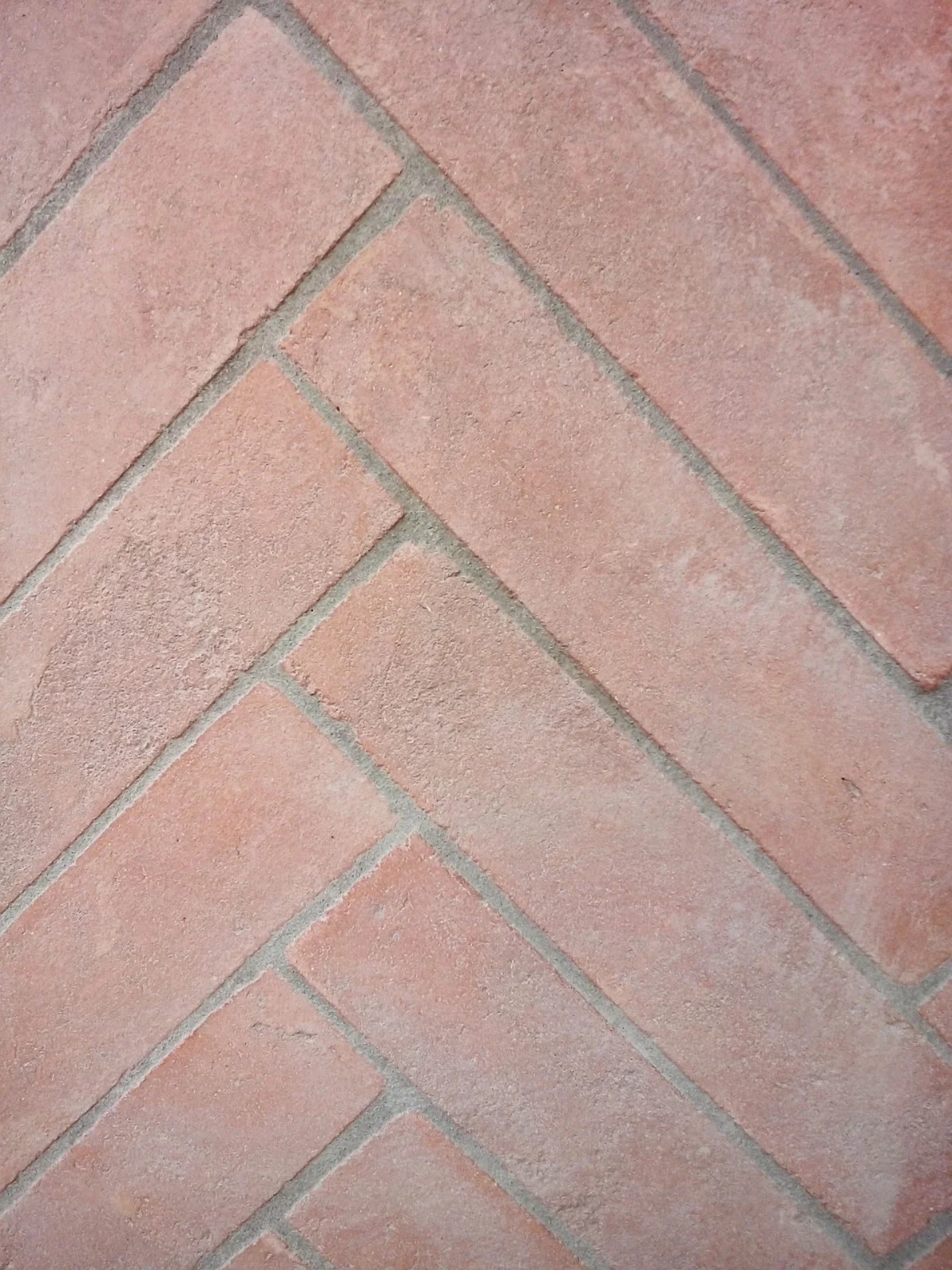 WhatsApp Image 2019-09-01 at 5.45.29 AM(2).jpeg