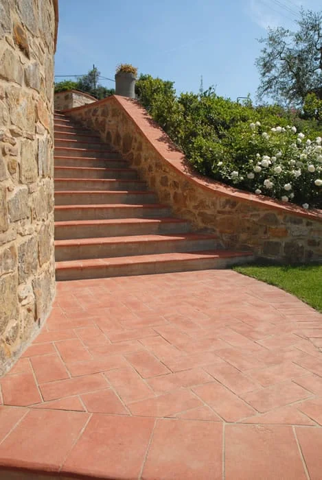 WhatsApp Image 2019-09-01 at 5.39.29 AM.jpeg