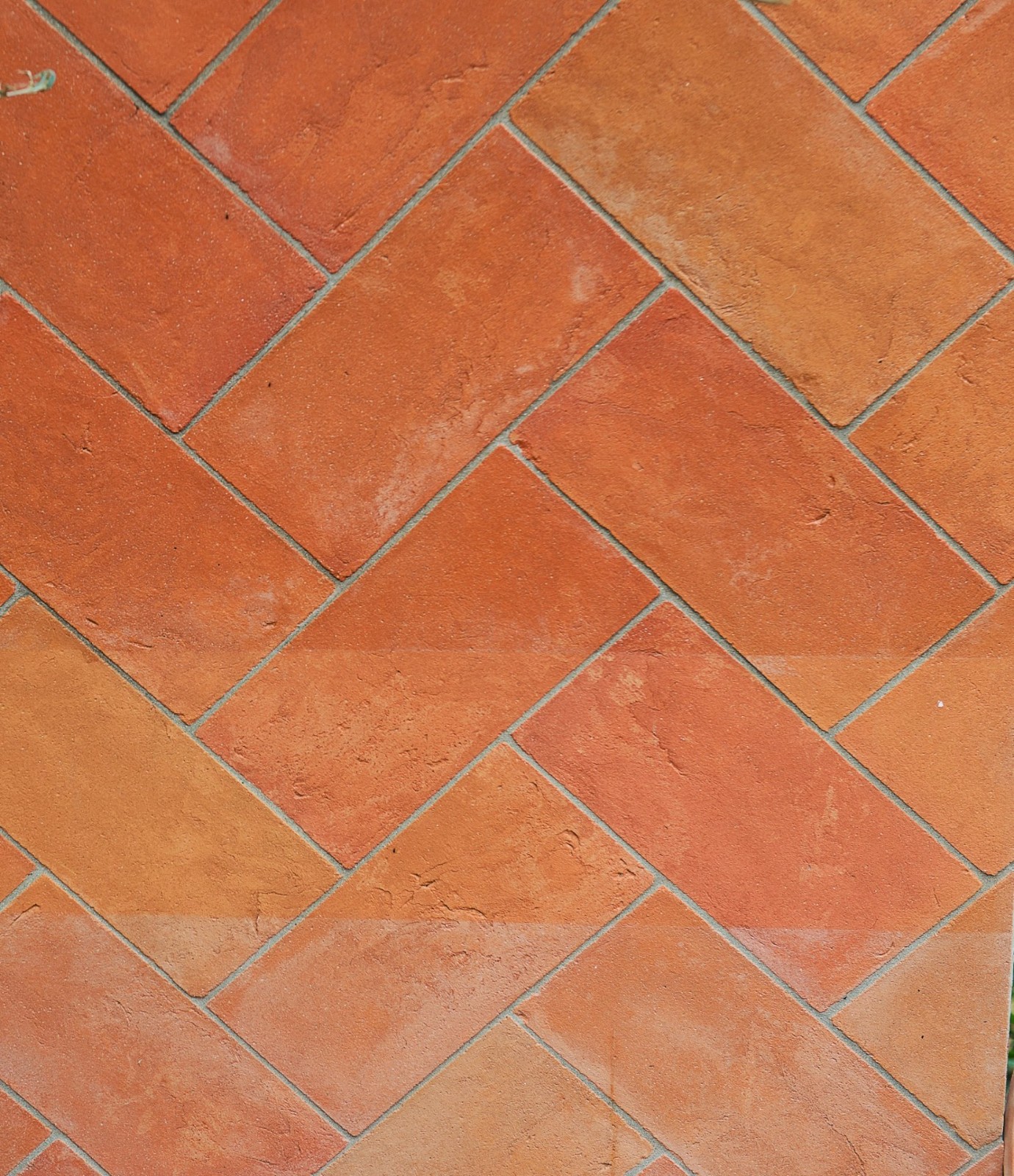 WhatsApp Image 2019-09-01 at 5.45.11 AM.jpeg