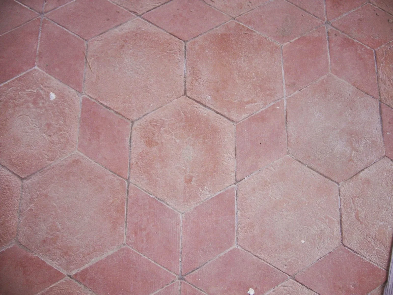 WhatsApp Image 2019-03-21 at 12.31.55 PM.jpeg