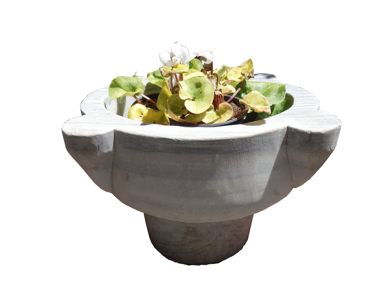 Sculpted White Carrera Marble Basin.JPG