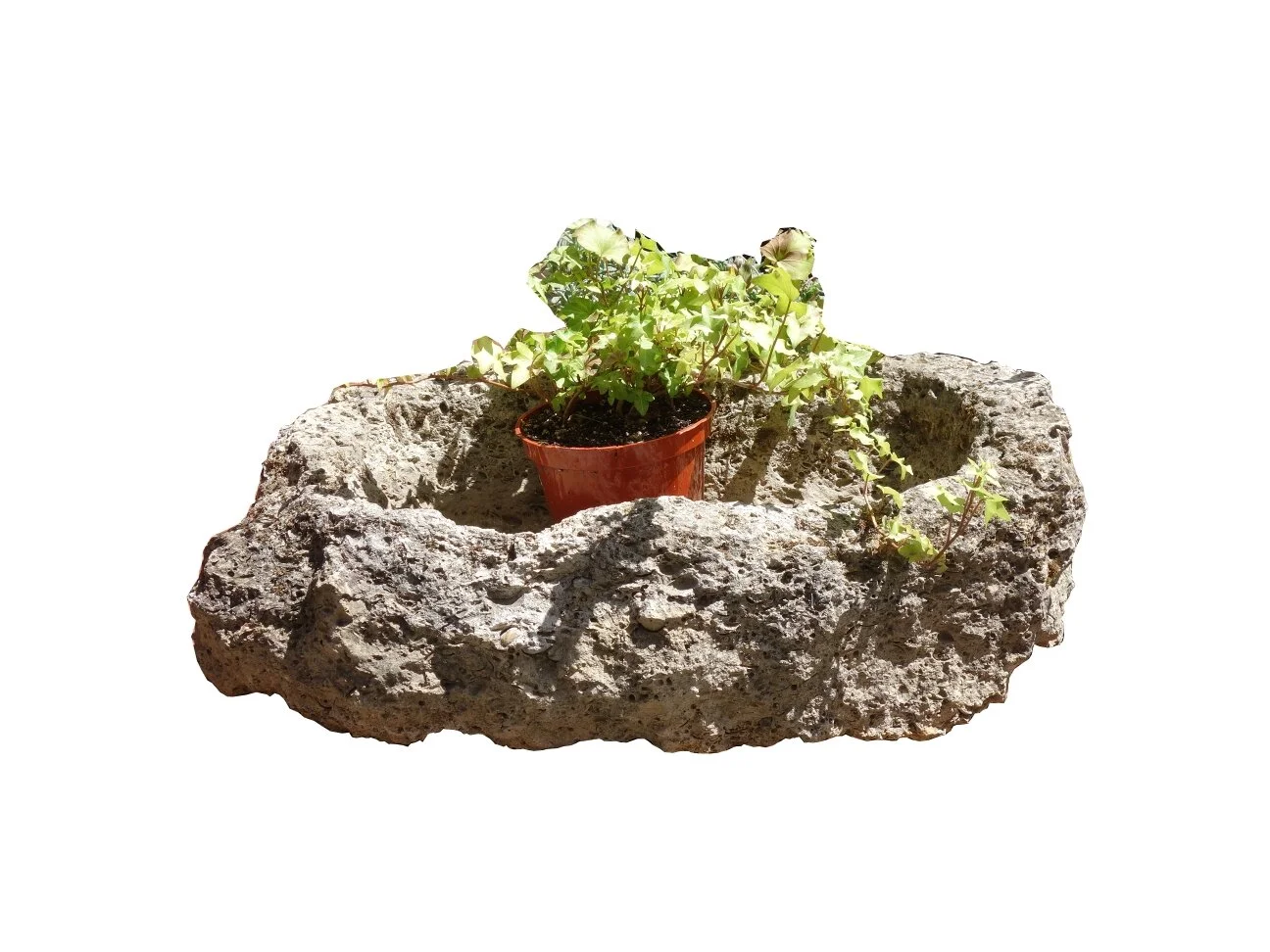 Antique Italian Fossil Stone Trough, free-form carved.JPG