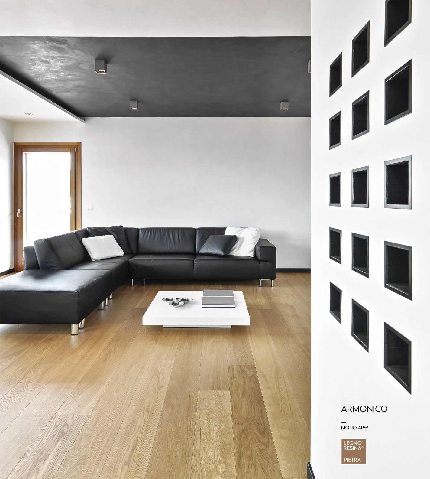 armonico mono 4pw.jpg