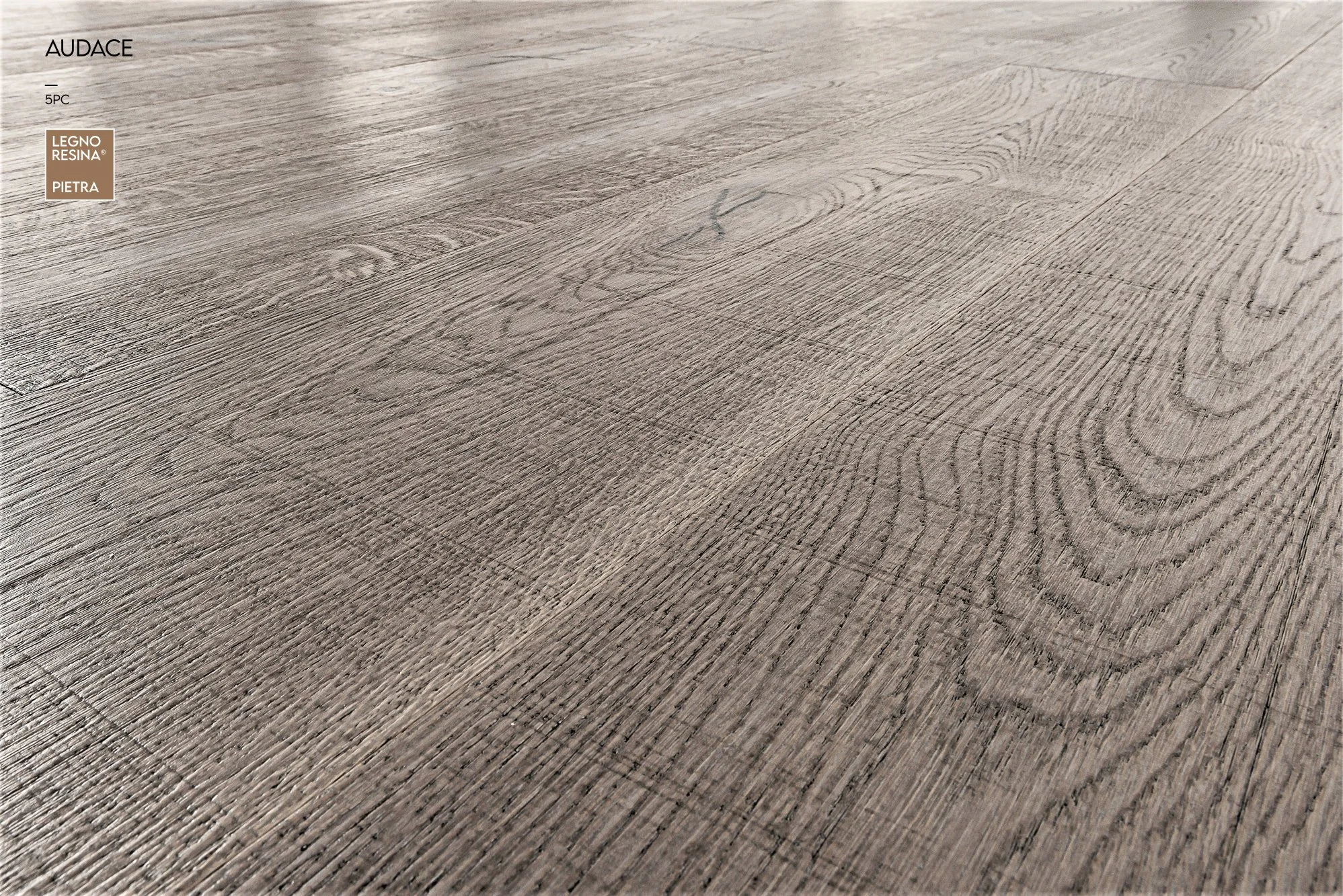 audace 5pc.jpg