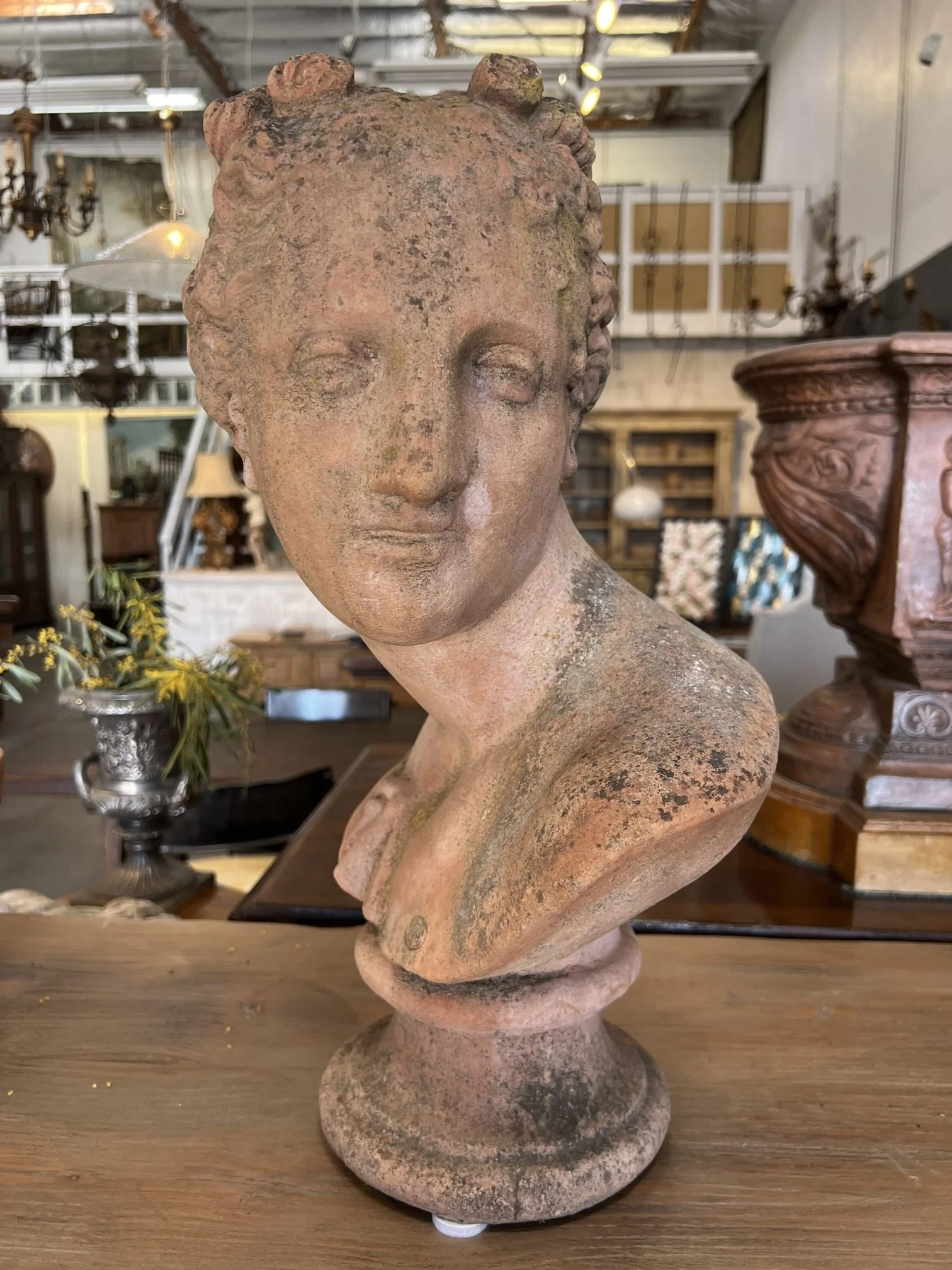 Italian Terracotta Garden Bust Galatea  (3).jpg