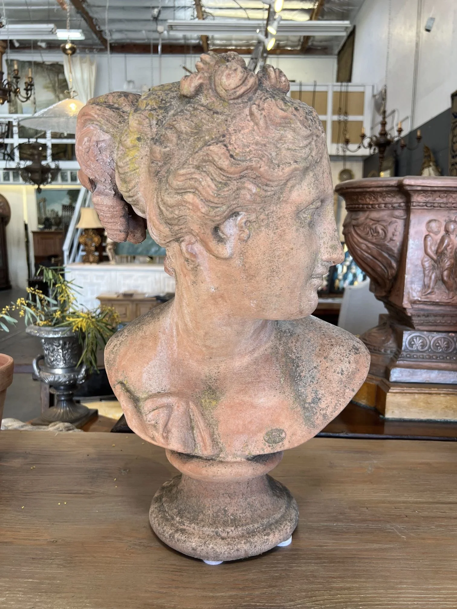 Italian Terracotta Garden Bust Galatea  (1).jpg