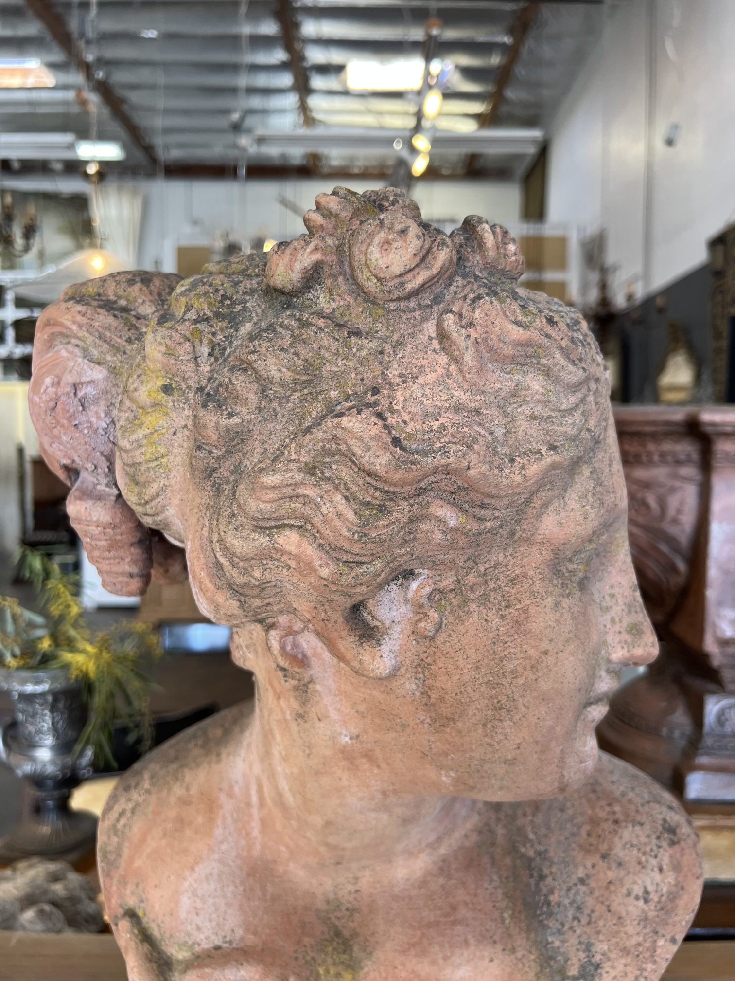 Italian Terracotta Garden Bust Galatea  (2).jpg