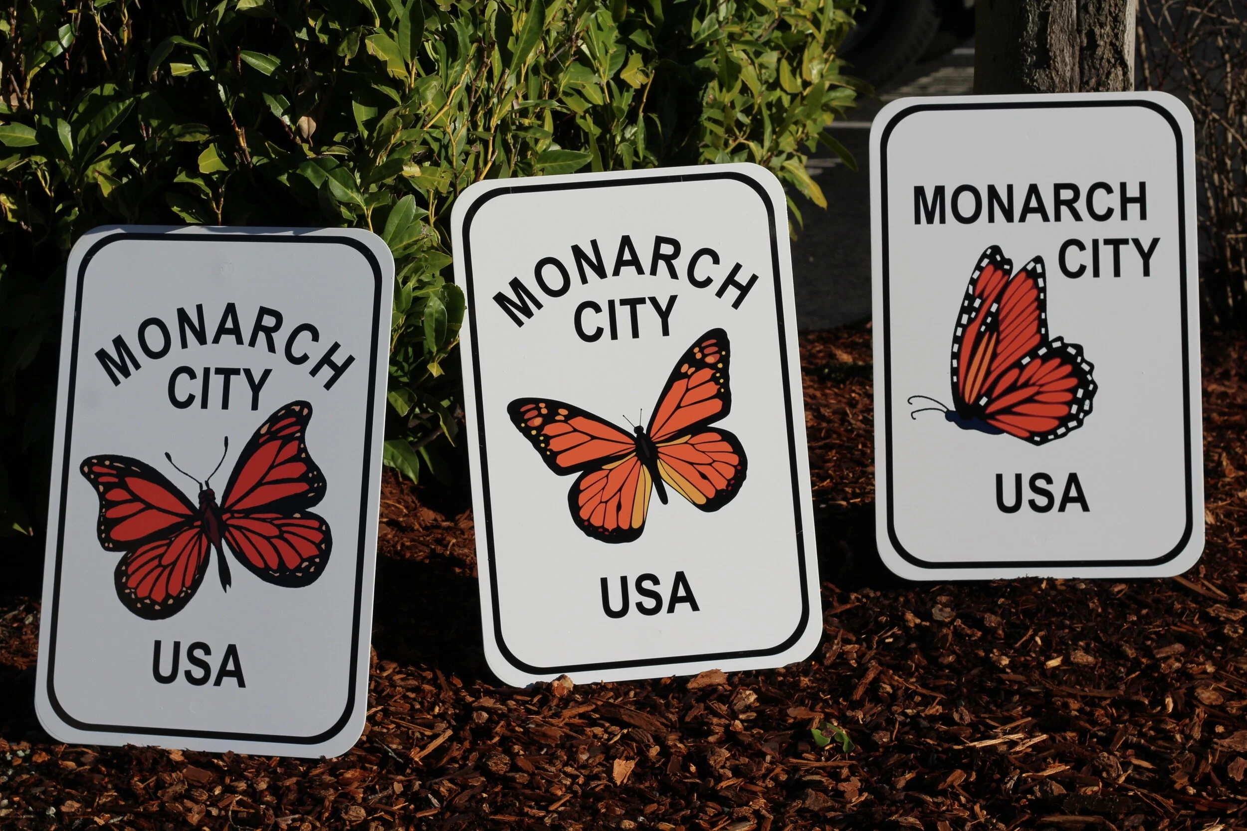 Monarch City USA Sign — Monarch City USA