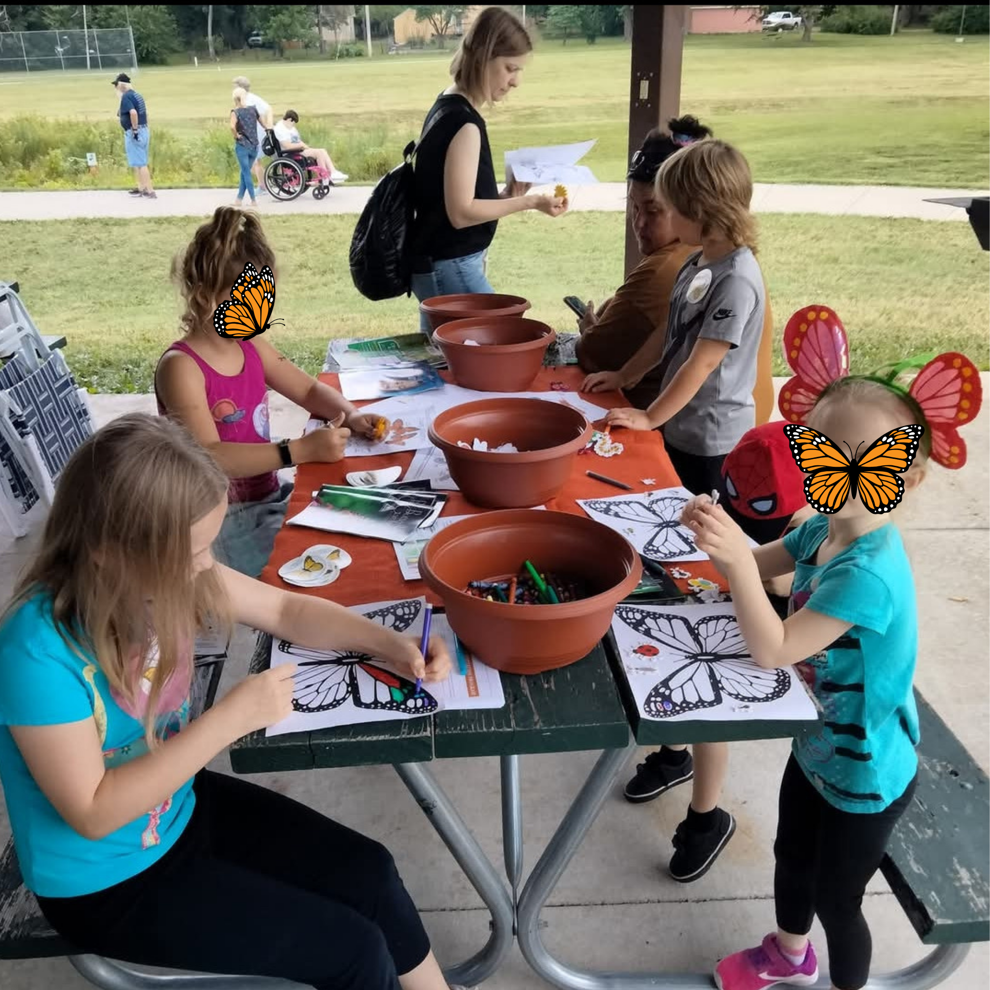 Children's art project with life cycle coloring pages 