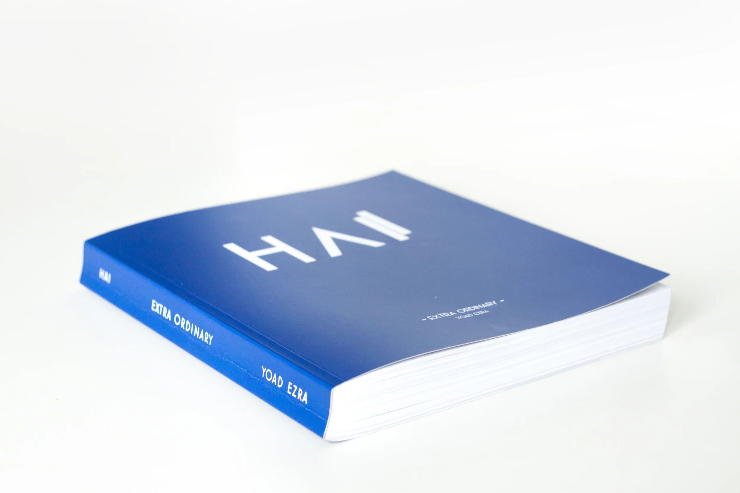  The documentation of the work process. 