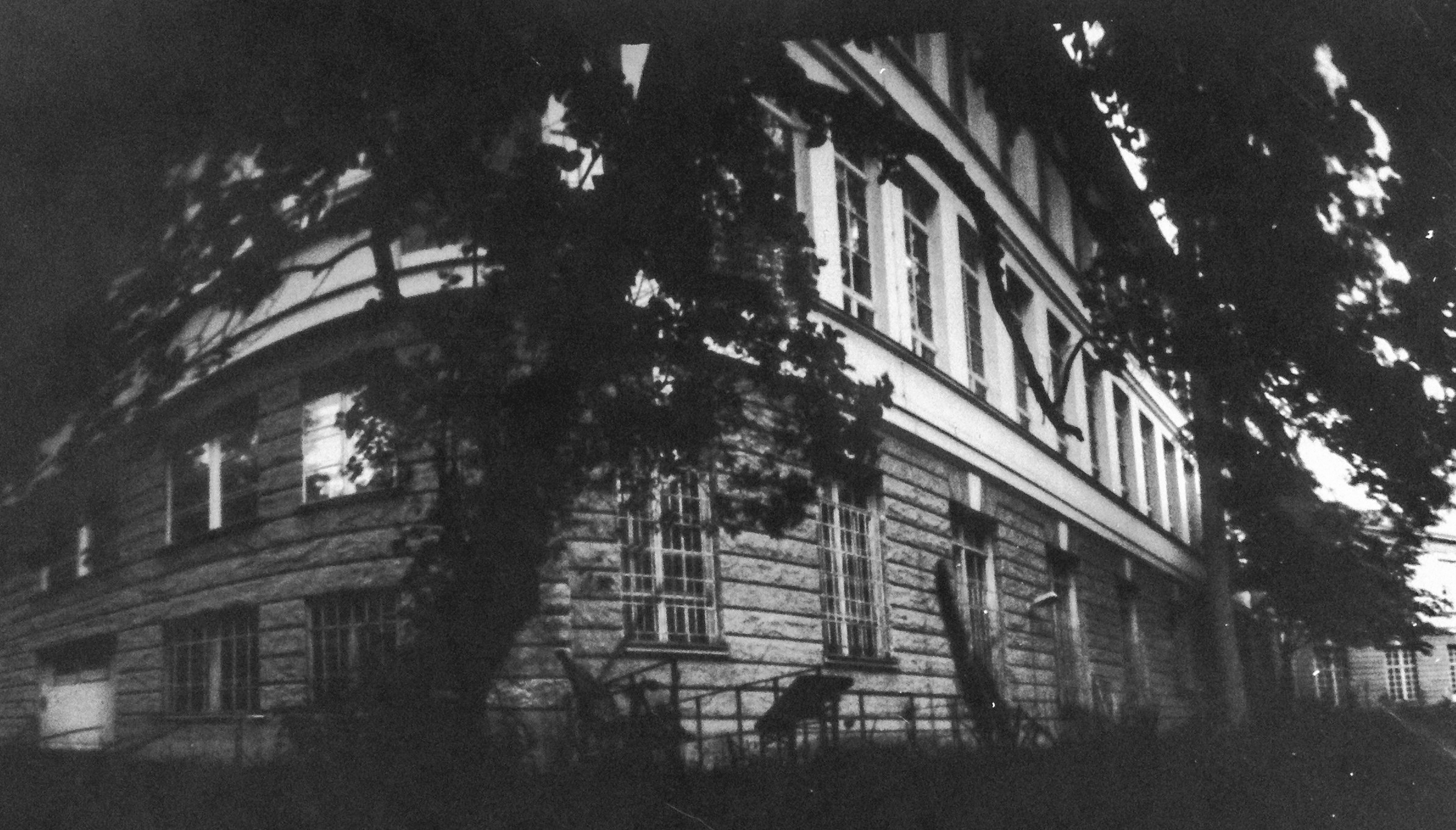 Developed photos