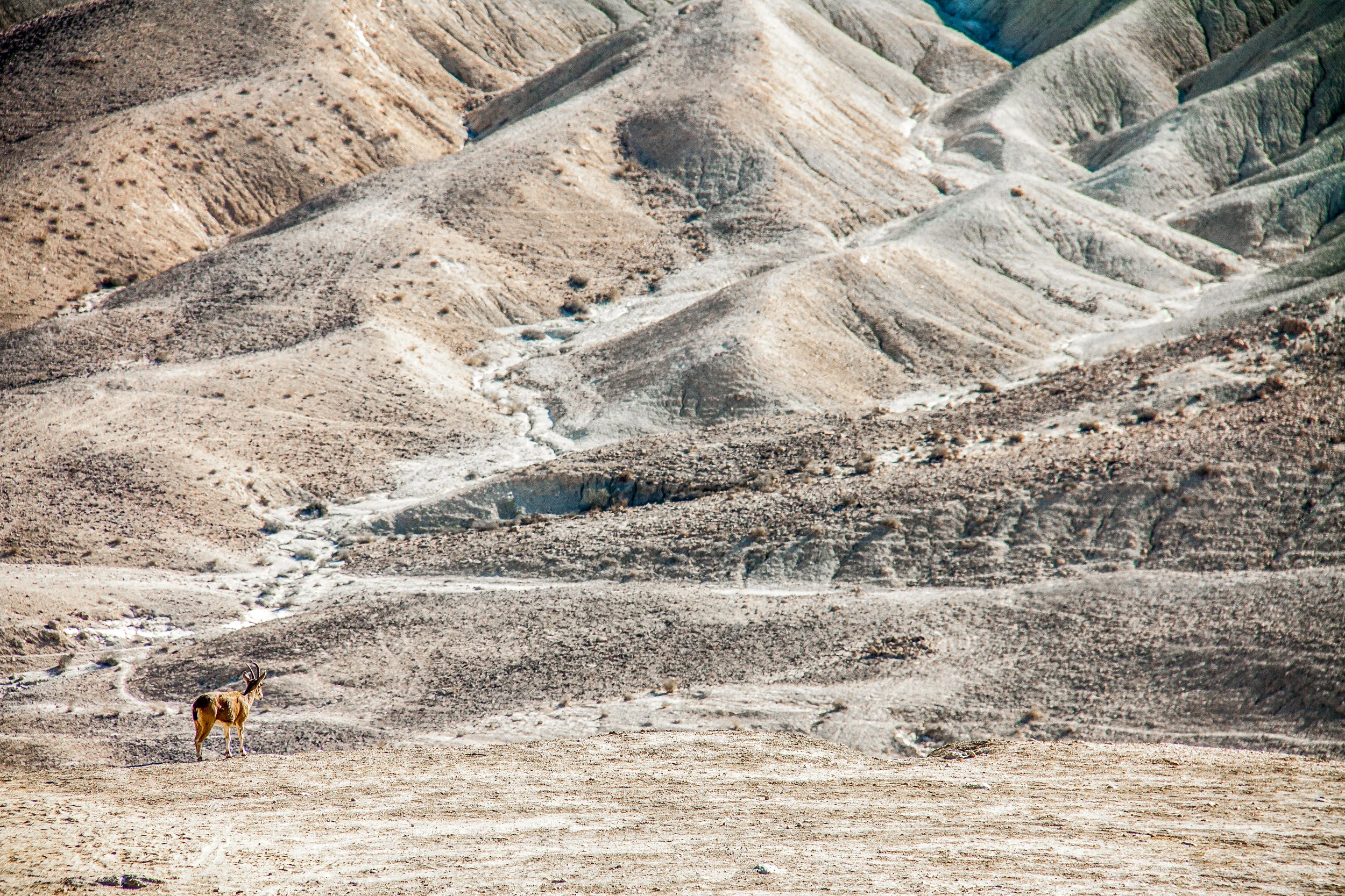 Places-20121229-006.jpg