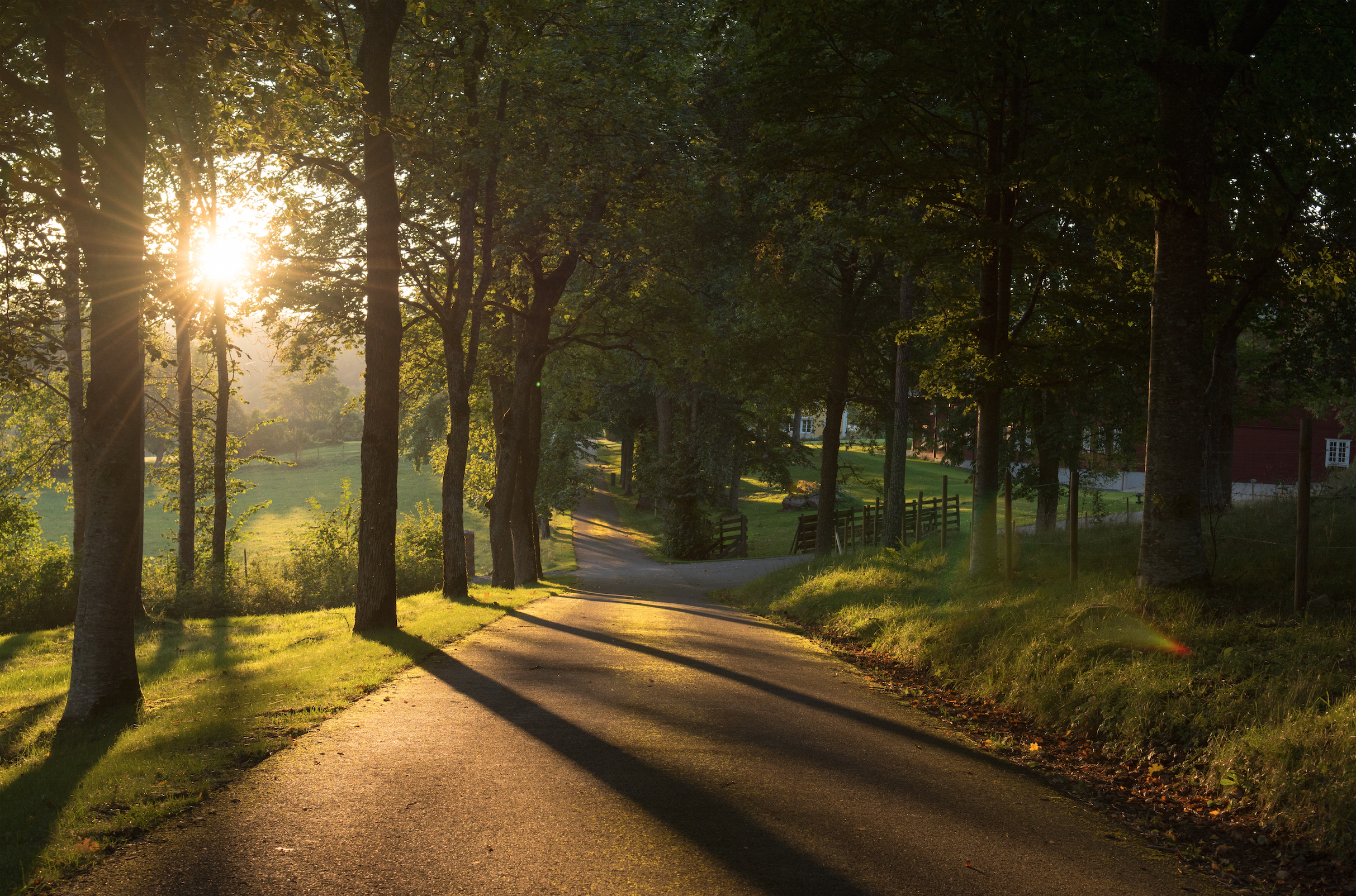 Screen Shot 2015-10-01 at 10.24.36 PM.png