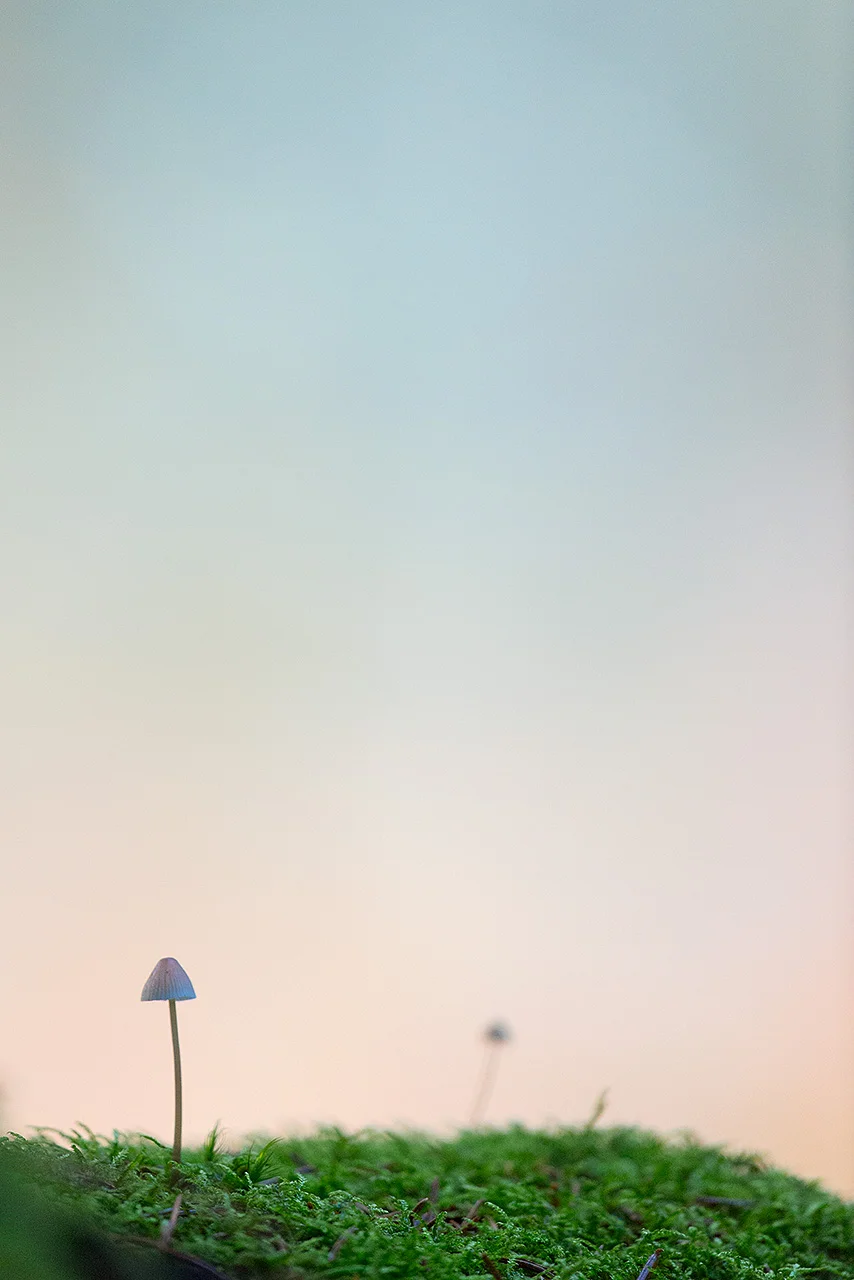 a small world