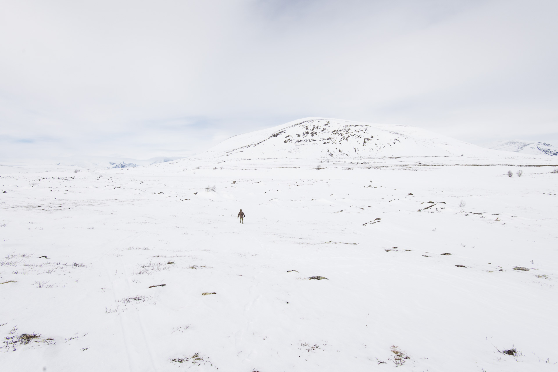 dovrefjell
