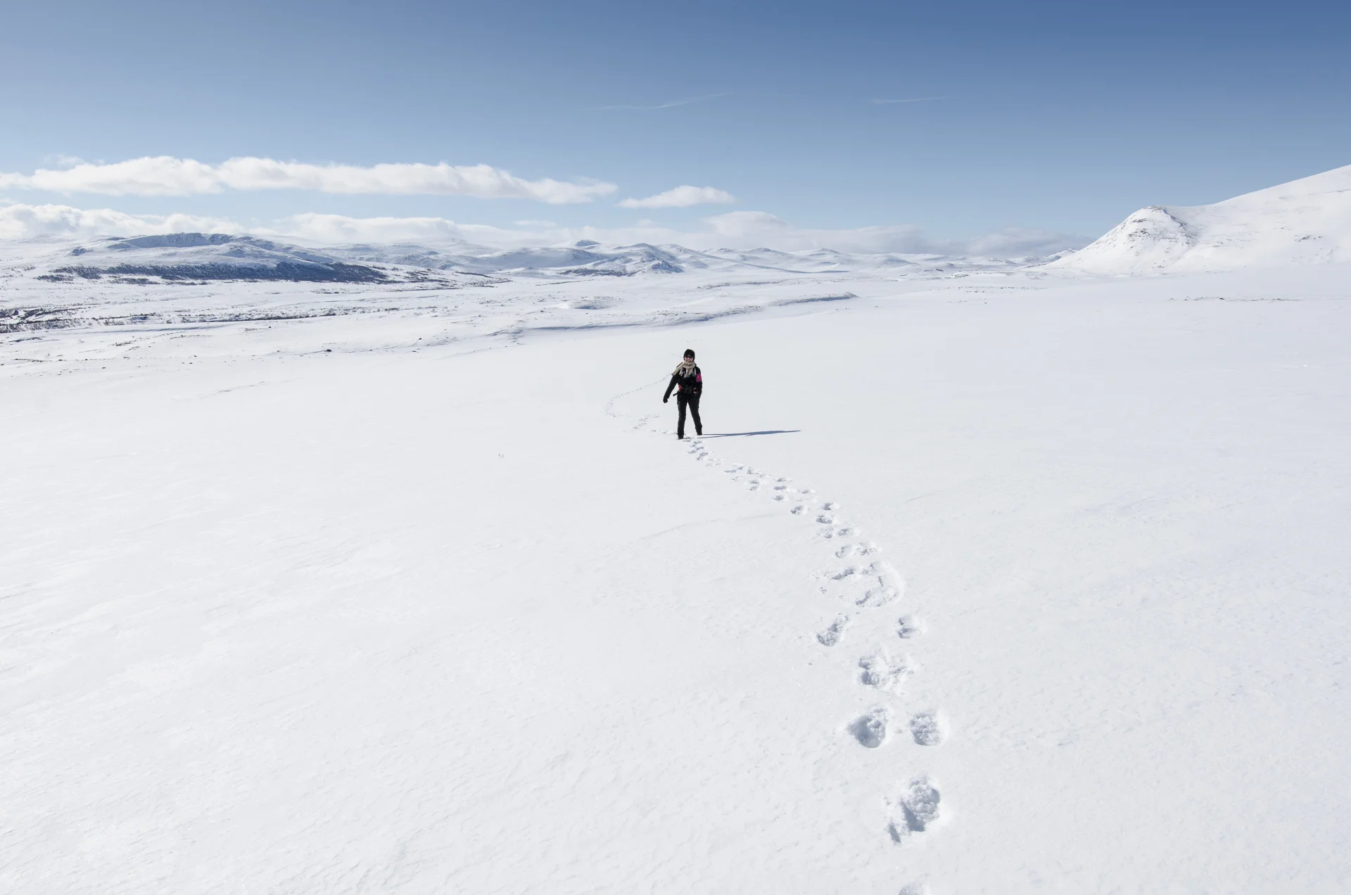 dovrefjell