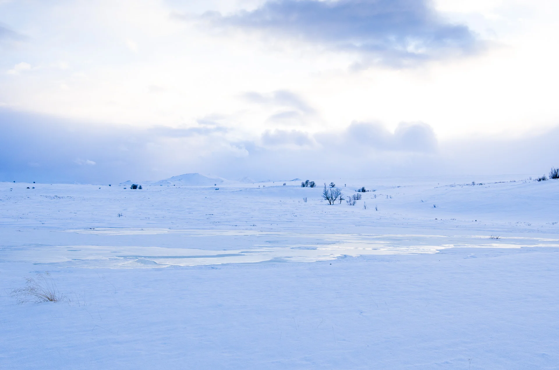 dovrefjell