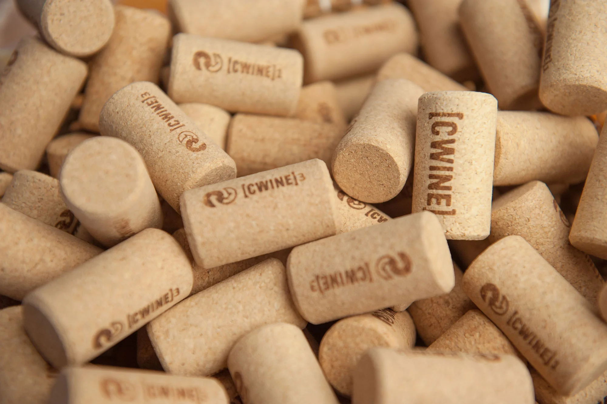 Wine-barreja.jpg