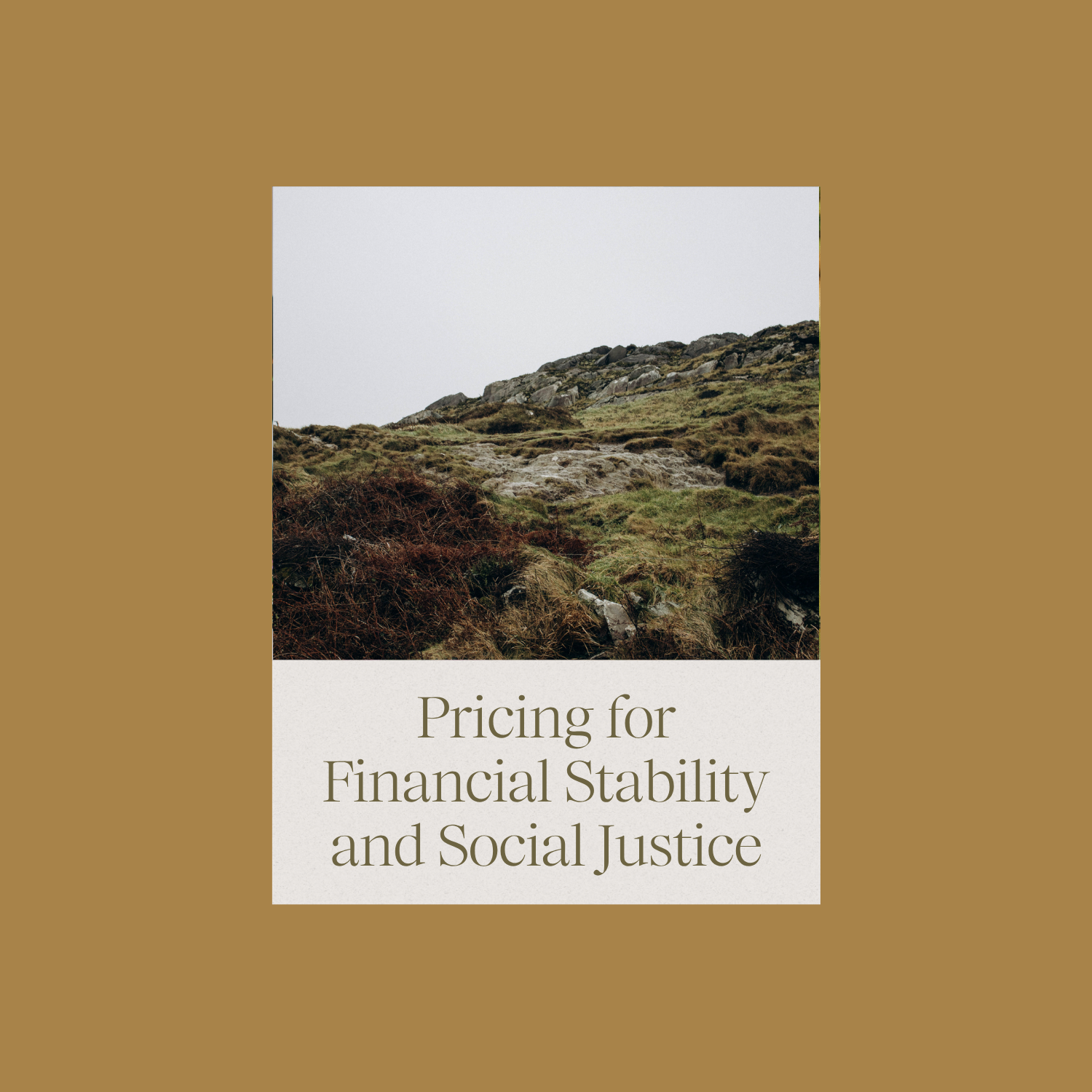 Pricing for Financial Stability and Social Justice
