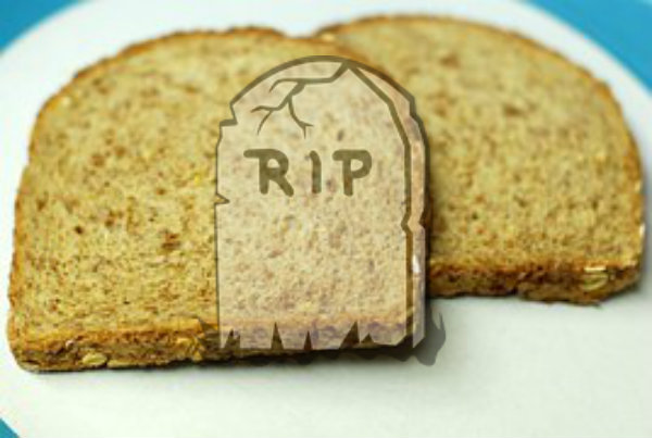 Life's Dullest Fact: Its End