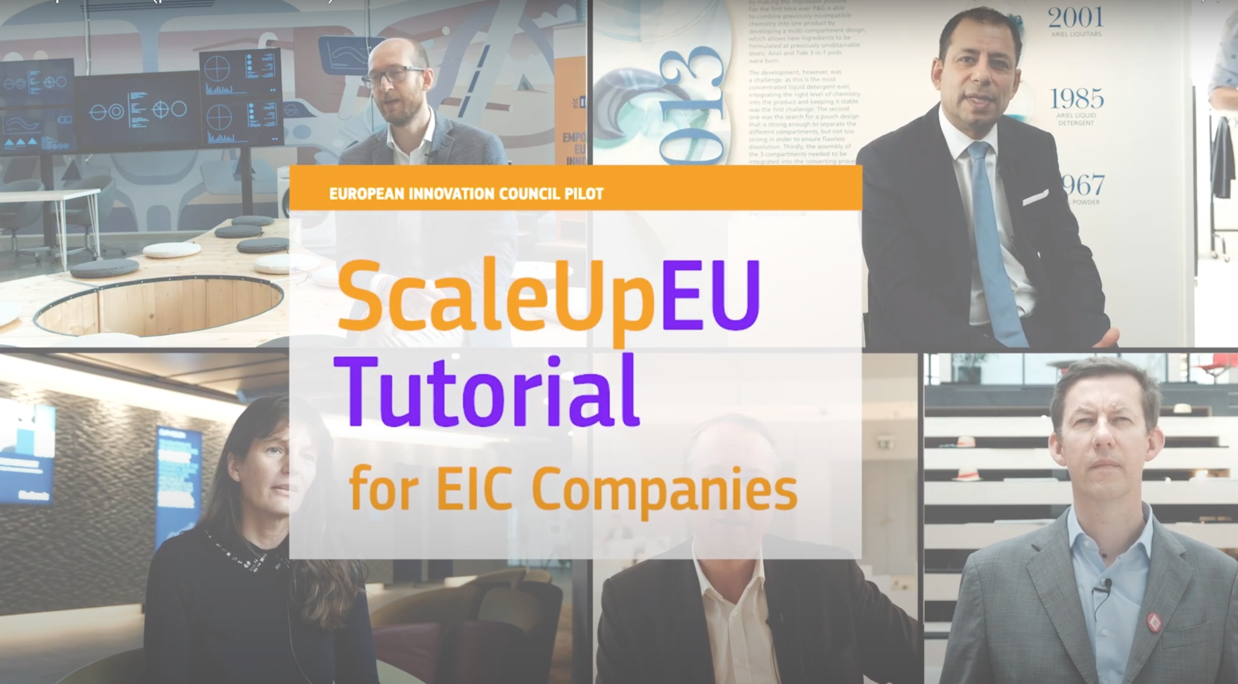 EIC platform (portfolio version)