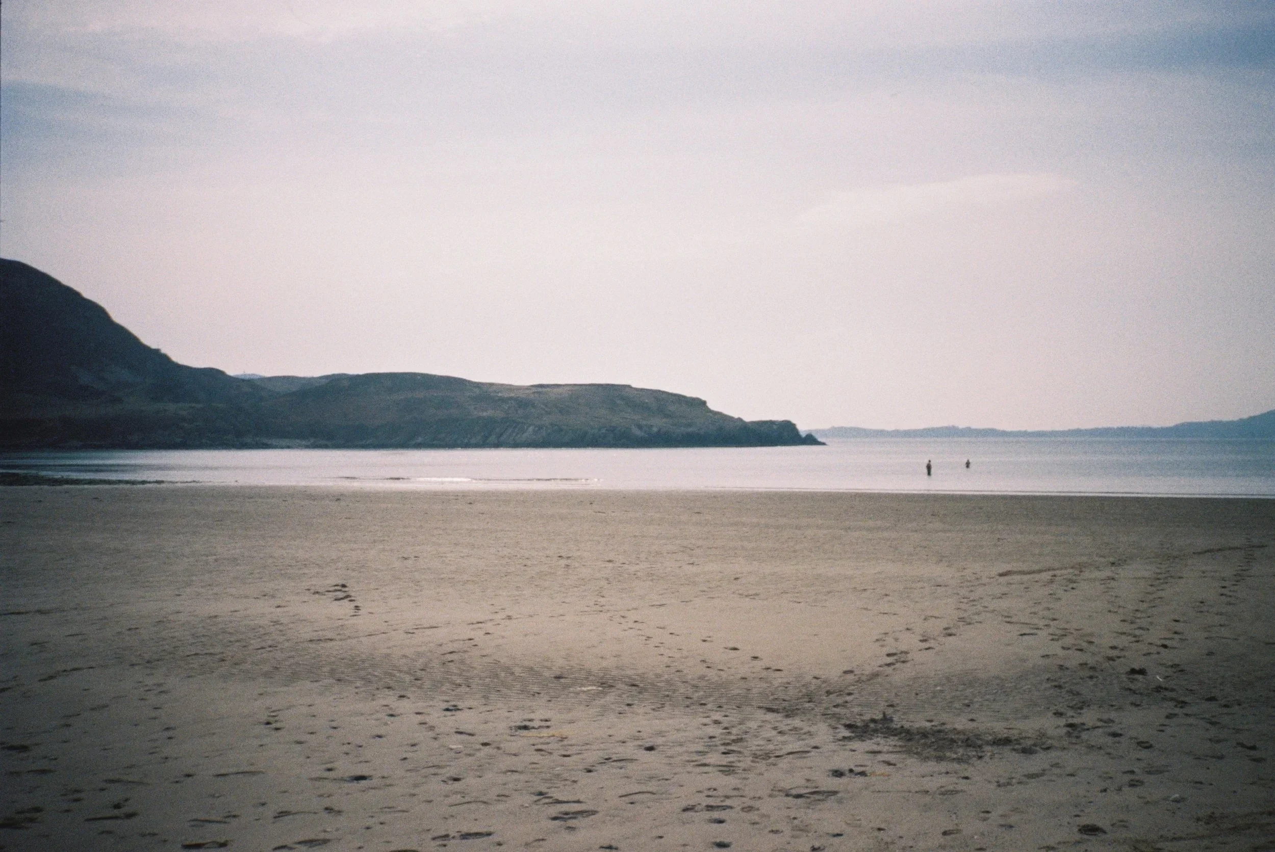 Donegal.webp