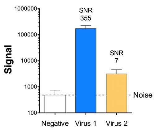 Measurements from a virus entry assay. Note the logarithmic scale which is going up by factors of 10. Virus 1 is hot. Virus 2 is not. 