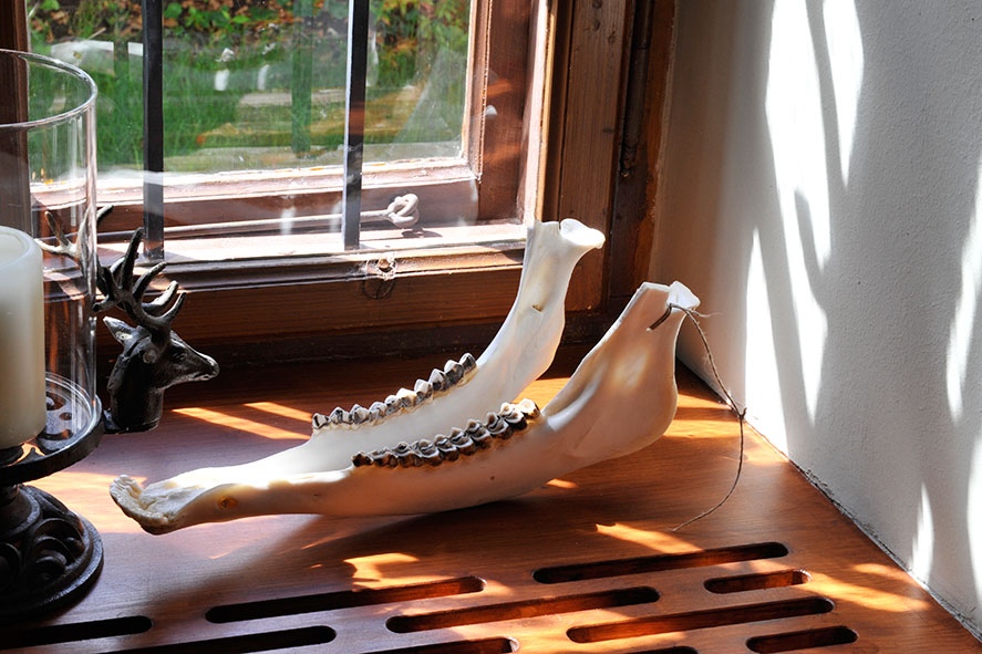 4- Strobl WZ Detail.JPG