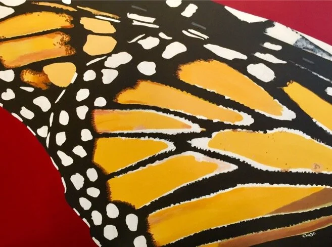 On Butterfly Wings