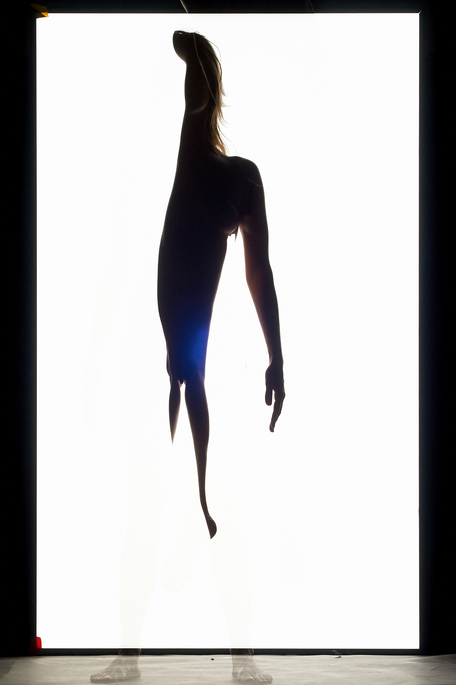 In Collaboration with Máté Duba