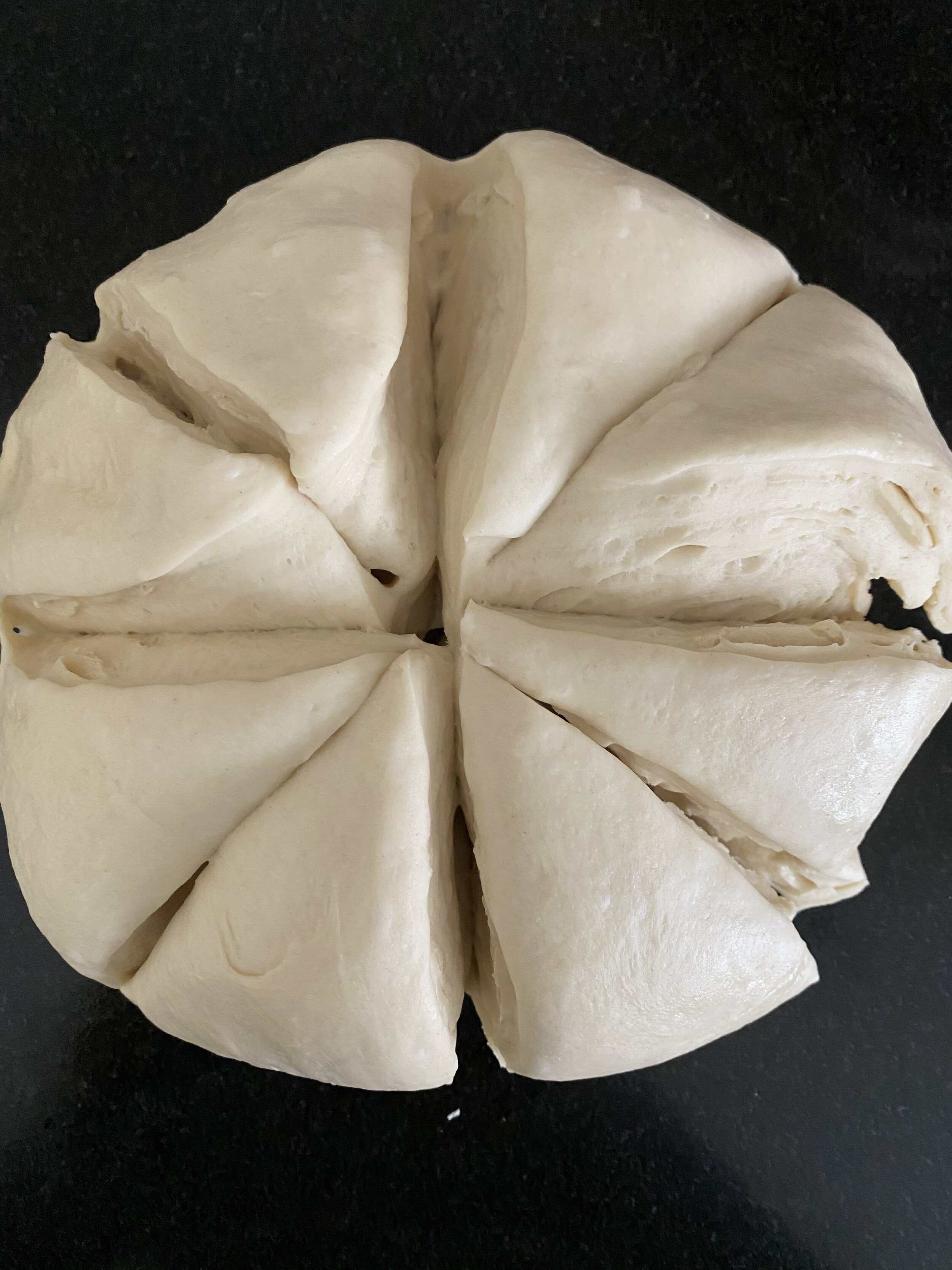 Bagel Dough, Kneaded and Cut 
