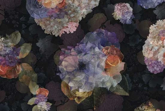 DF3-low-res.jpg