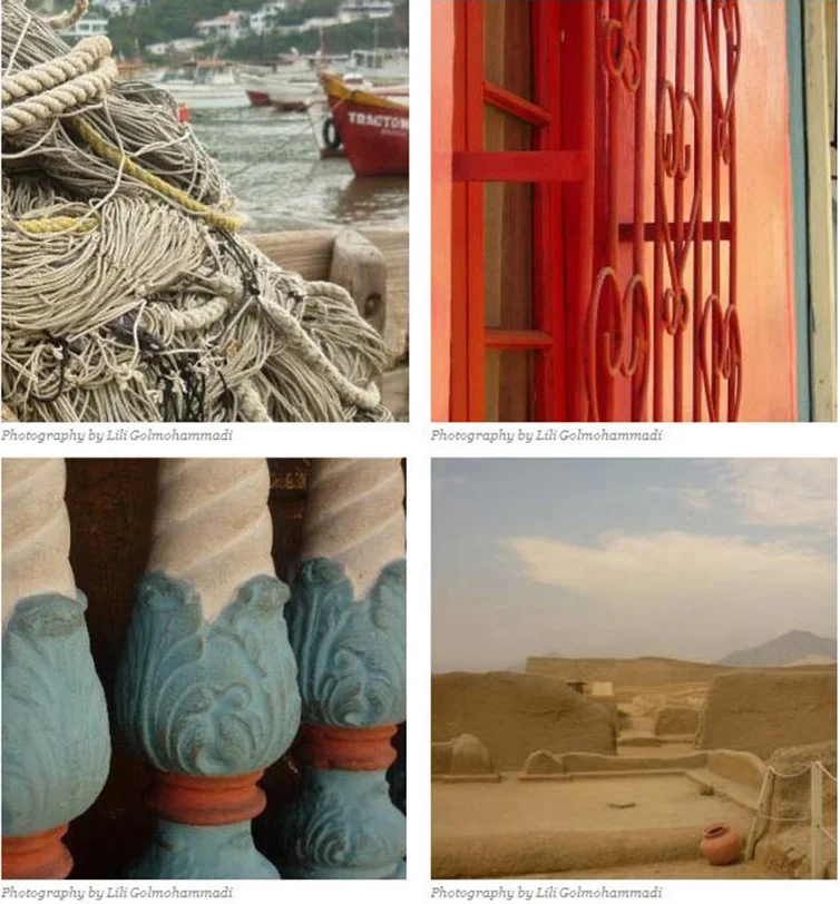 Lili_Golmohammadi_still_life_style_III+jpg.jpg